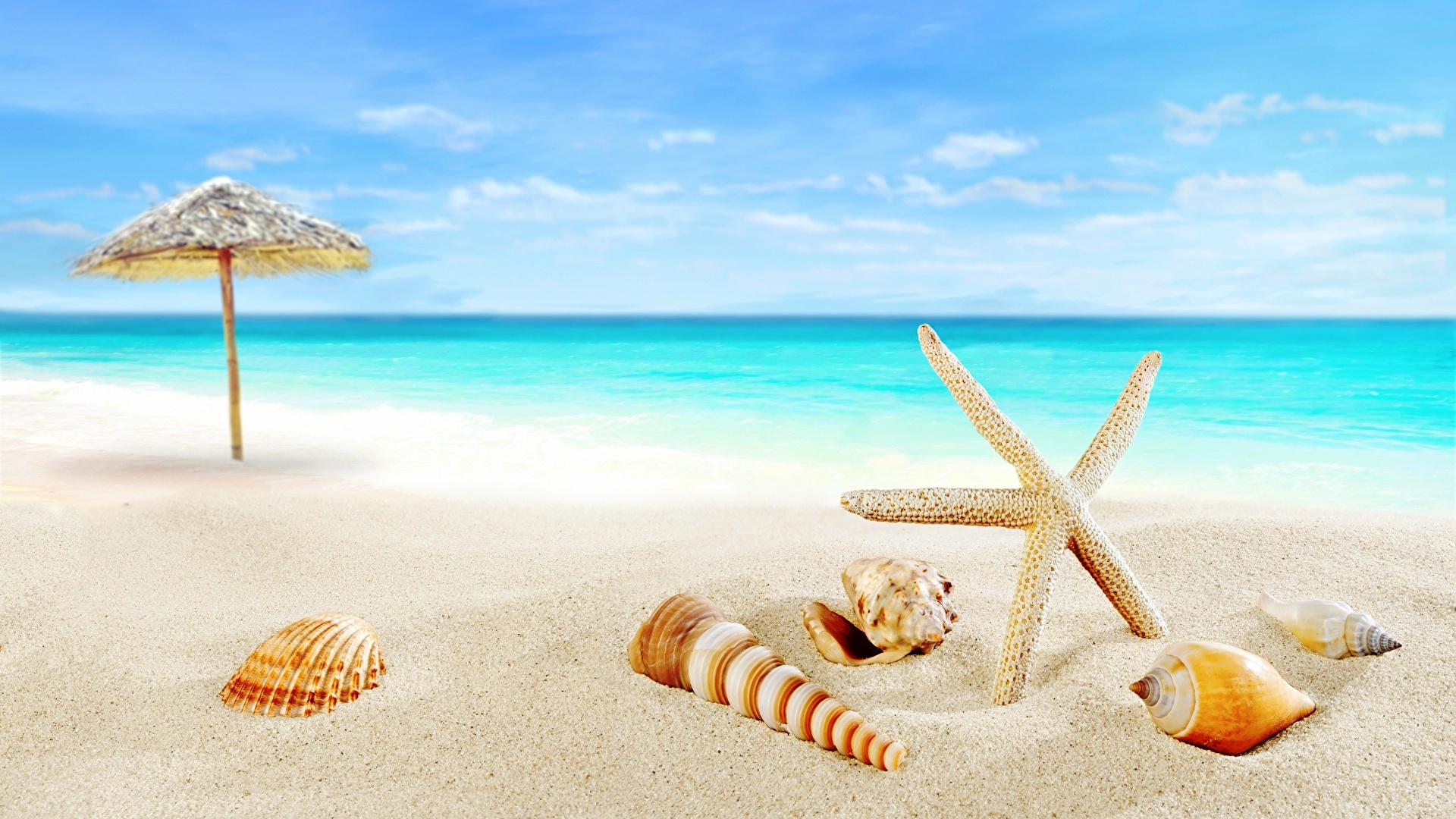 下载手机图片:夏天, 海, 景观, 海滩，免费16470。
