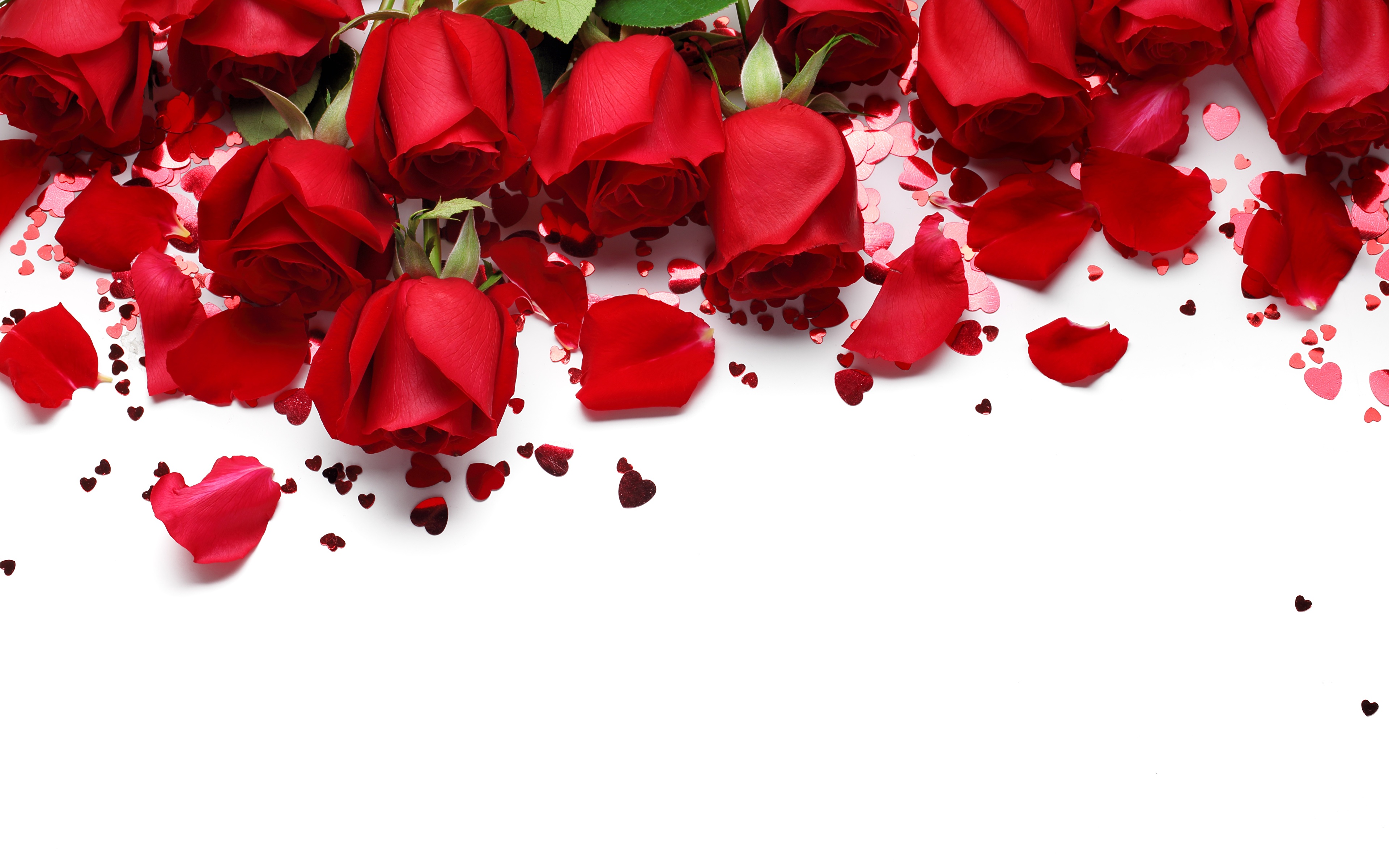 Fondos de Pantalla 3840x2400 Rosas Día de San Valentín Rojo Pétalo Tarjeta  de felicitación de la plant Flores descargar imagenes