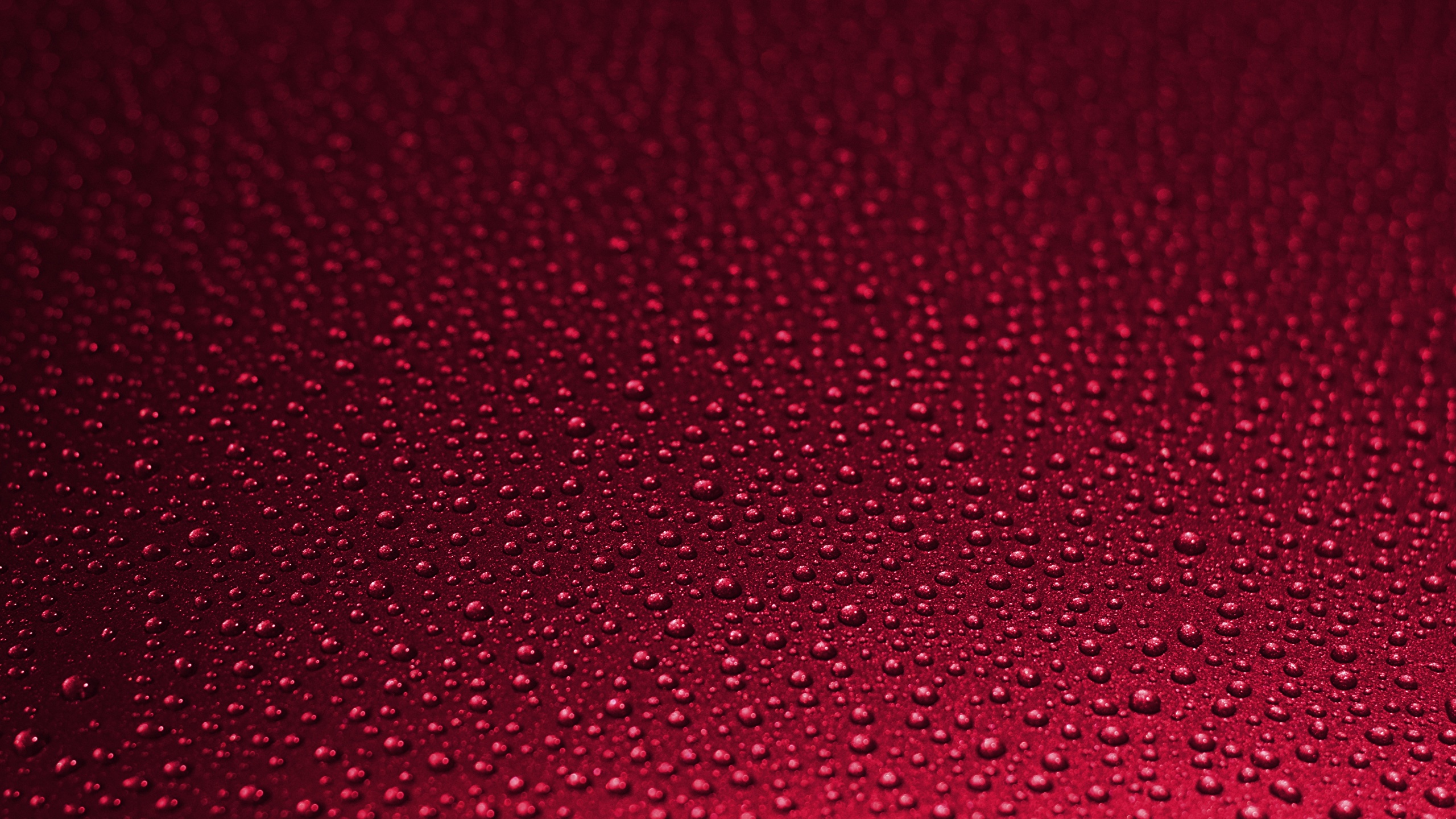 壁紙 2560x1440 テクスチャー 赤 水滴 赤の背景 ダウンロード 写真