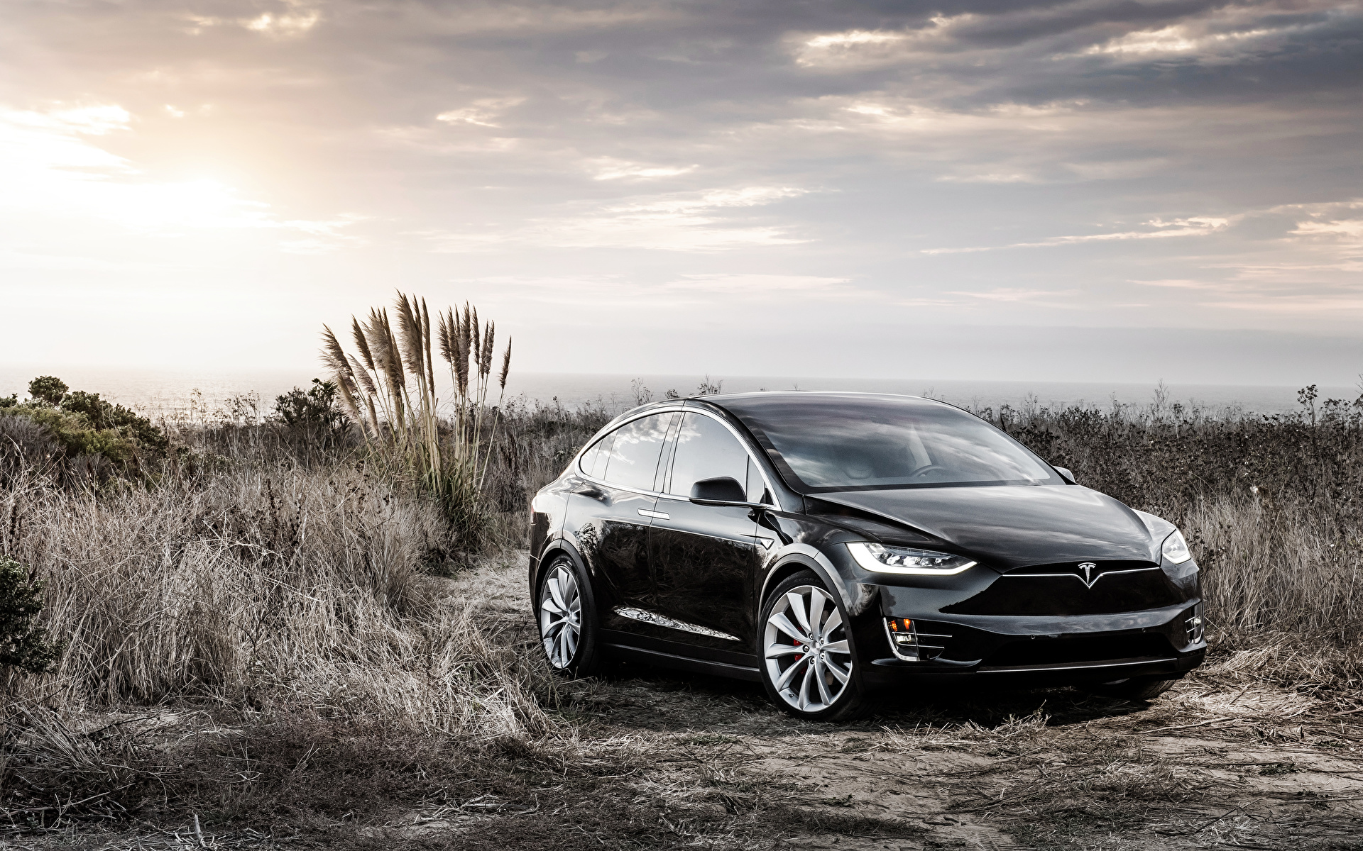 Фото Tesla Motors Model X Black черные Автомобили 1920x1200