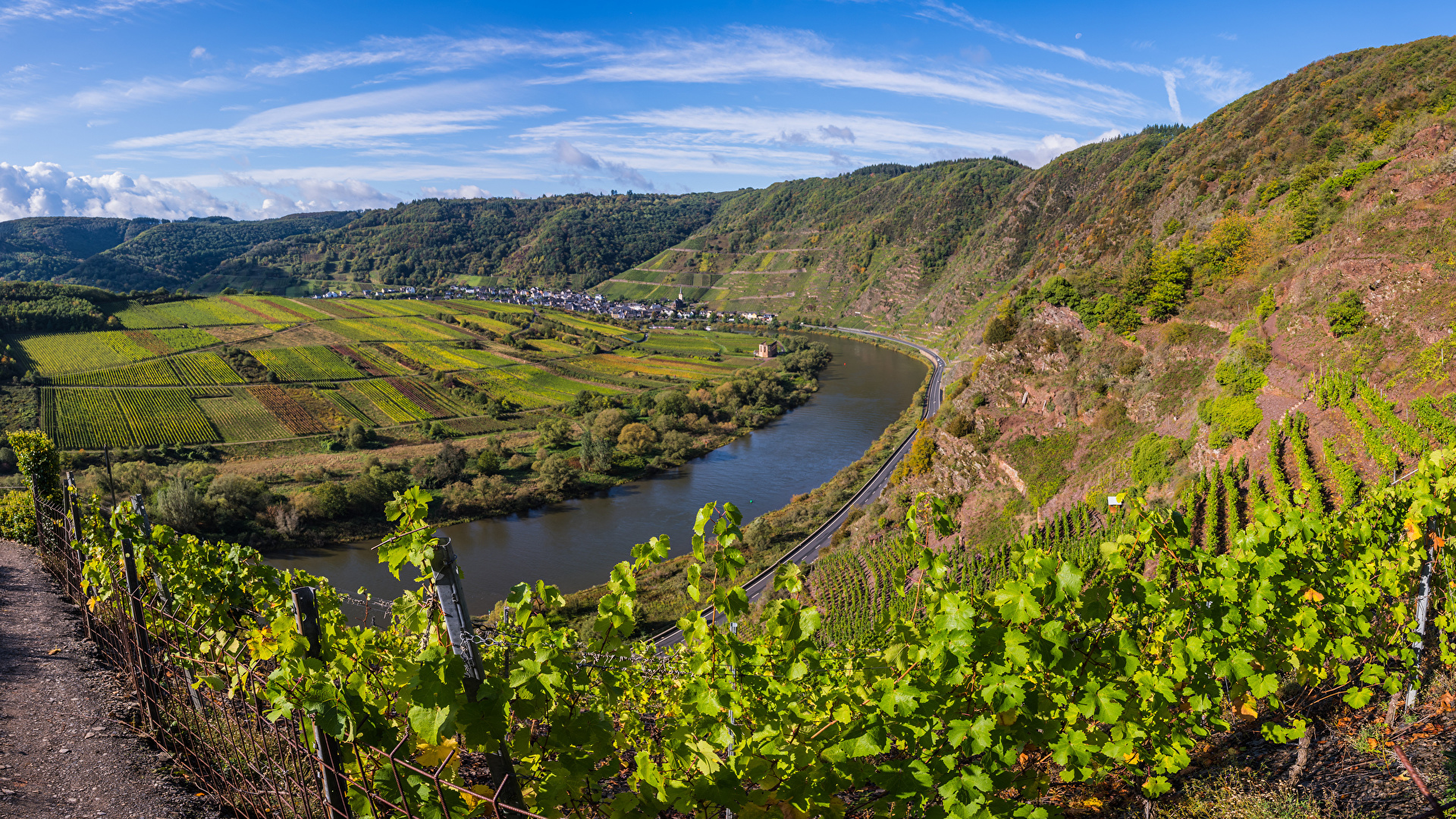 Picture Germany Calmont, Mosel River Vineyard Nature Hill 1920x1080