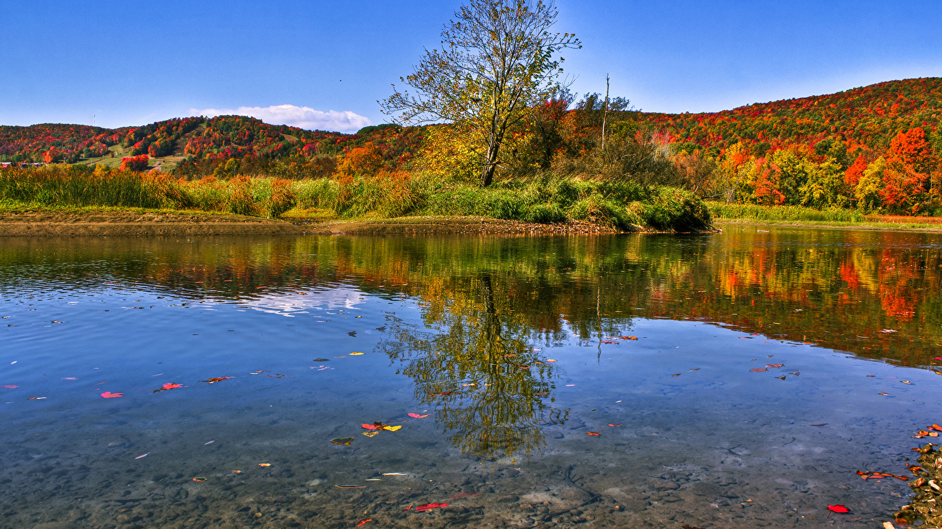 壁紙 1366x768 カナダ 湖 秋 森林 ケベック州 Waterville 自然 ダウンロード 写真