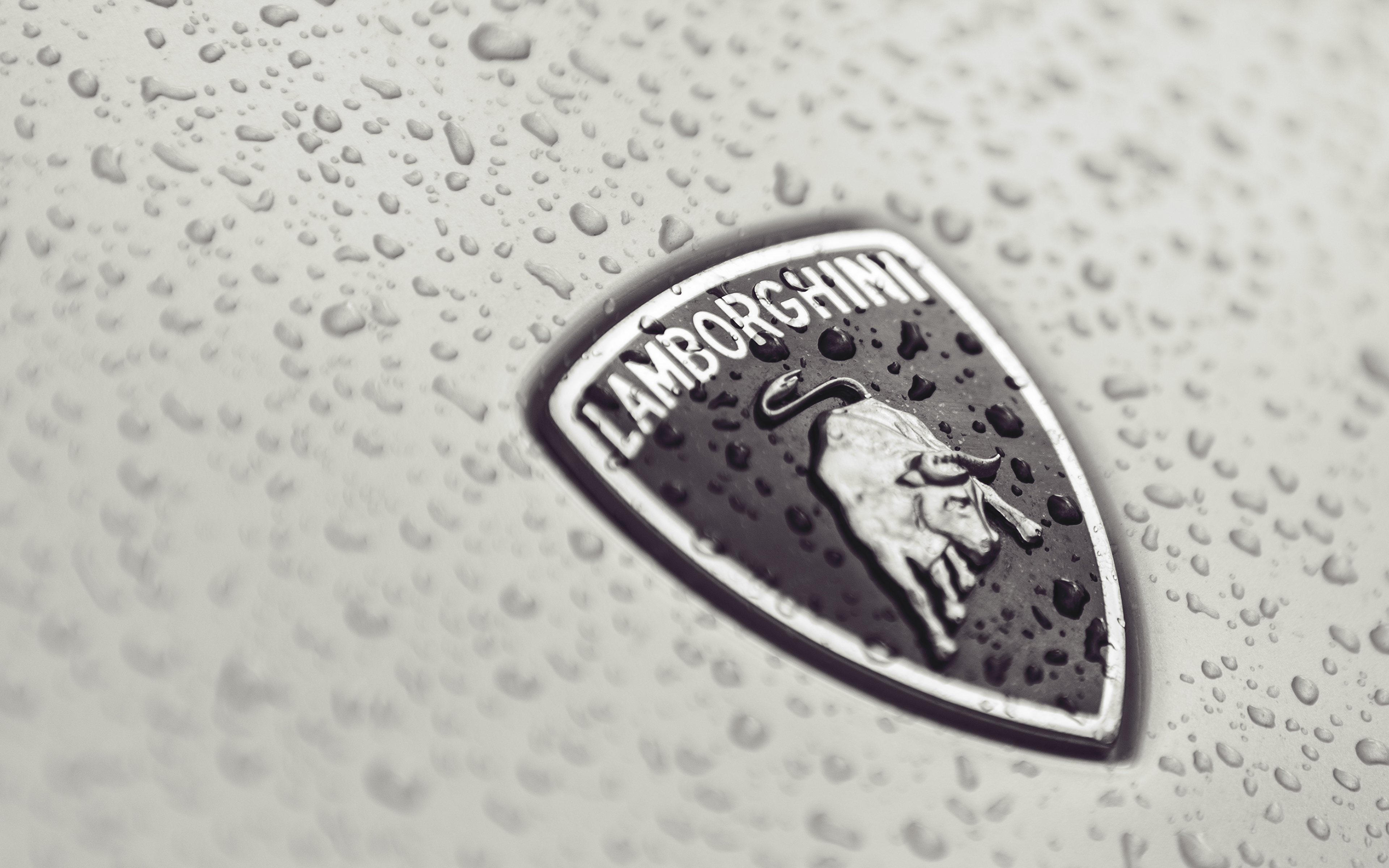 Images Lamborghini Logo Emblem badge Drops automobile 3840x2400