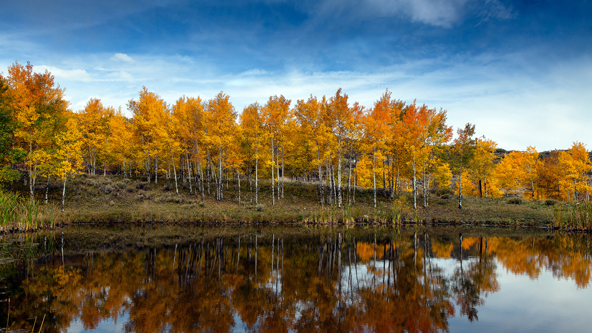 Photo Autumn Nature Lake Forests 19x1080