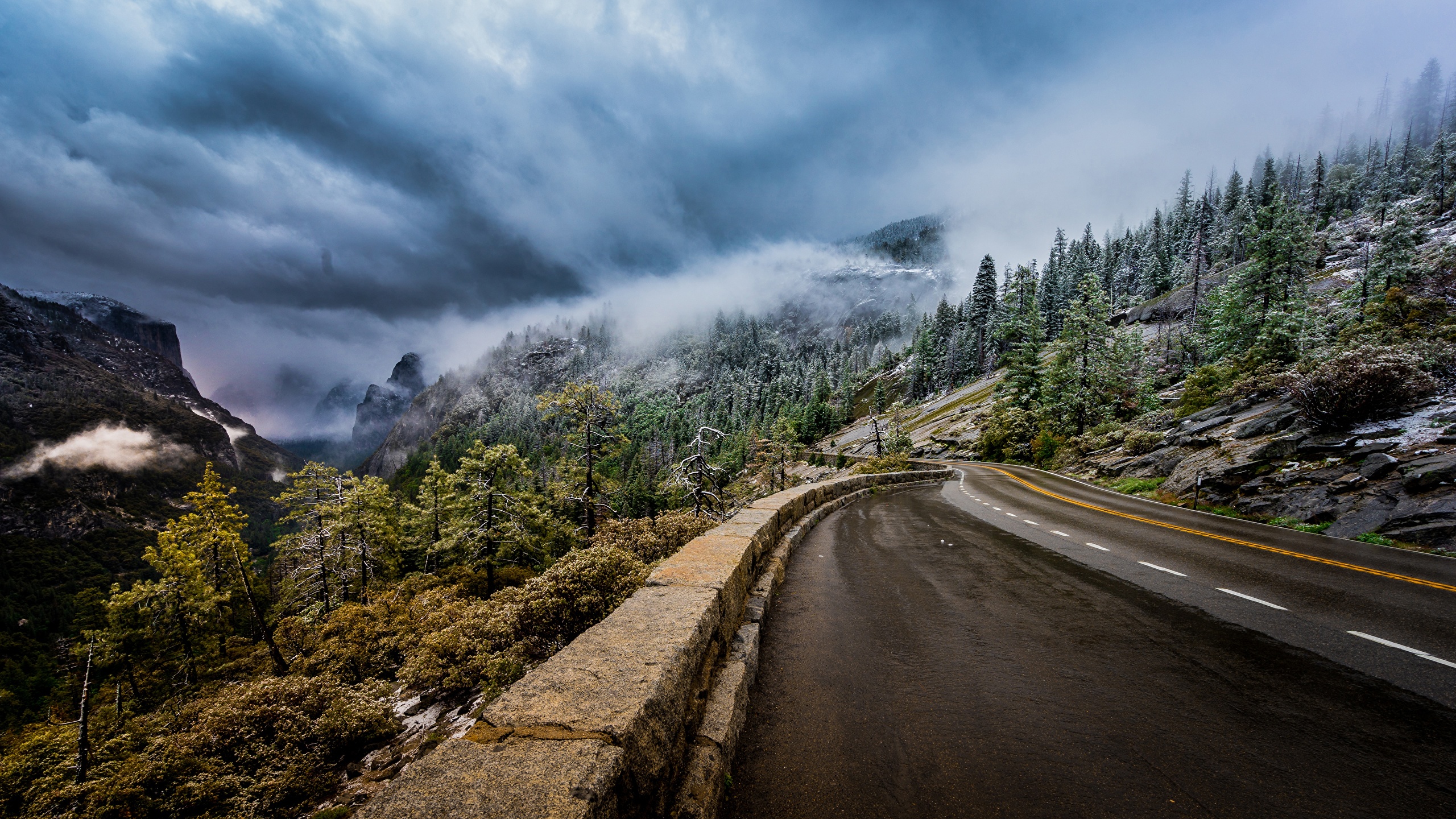 壁紙 2560x1440 道 山 アメリカ合衆国 風景写真 Sierra Nevada 雲 木 ヨセミテ国立公園 霧 カリフォルニア州 自然 ダウンロード 写真