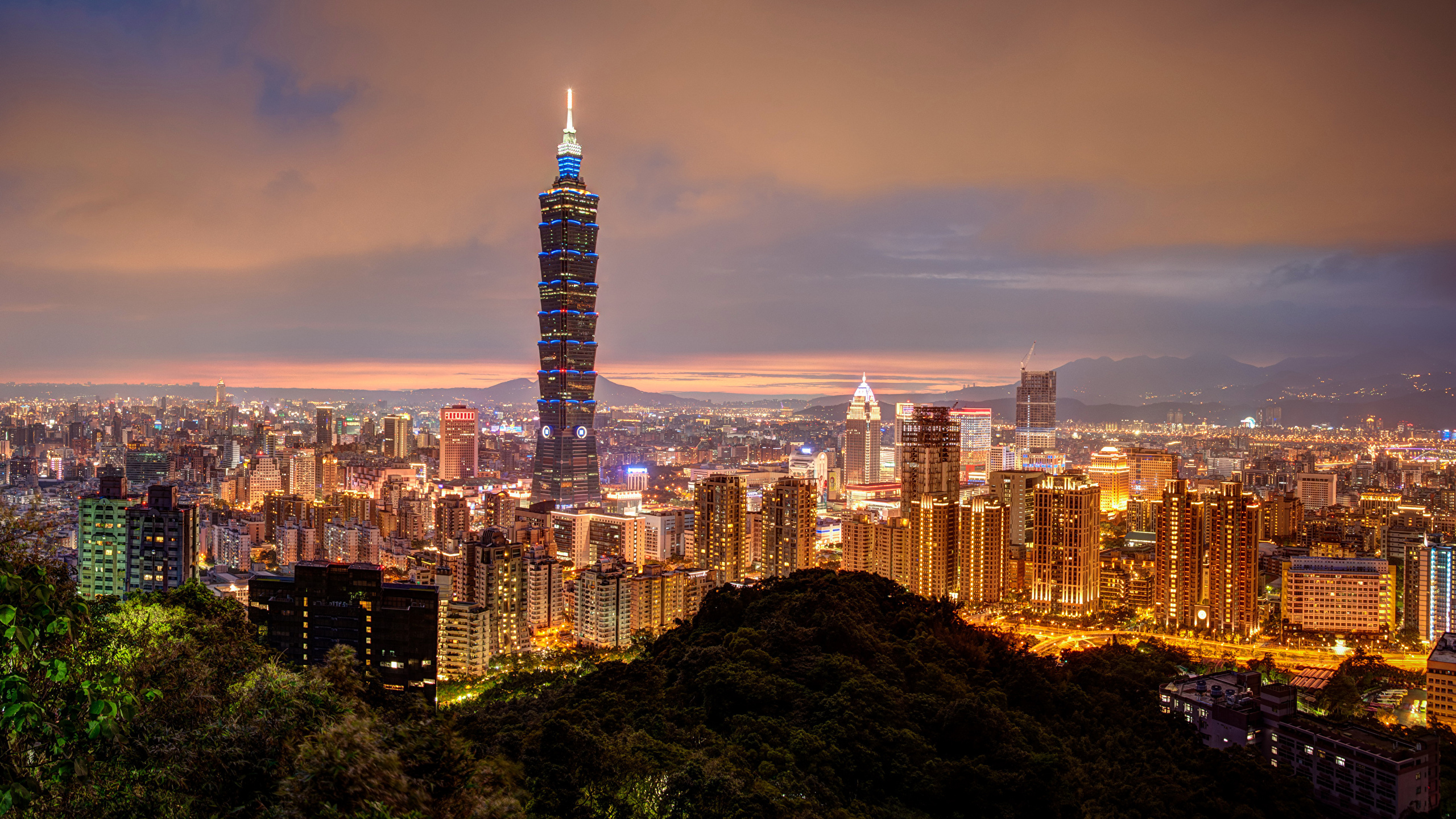 壁紙 2560x1440 中華人民共和国 住宅 超高層建築物 台湾 台北市 夜 メガロポリス 都市 ダウンロード 写真