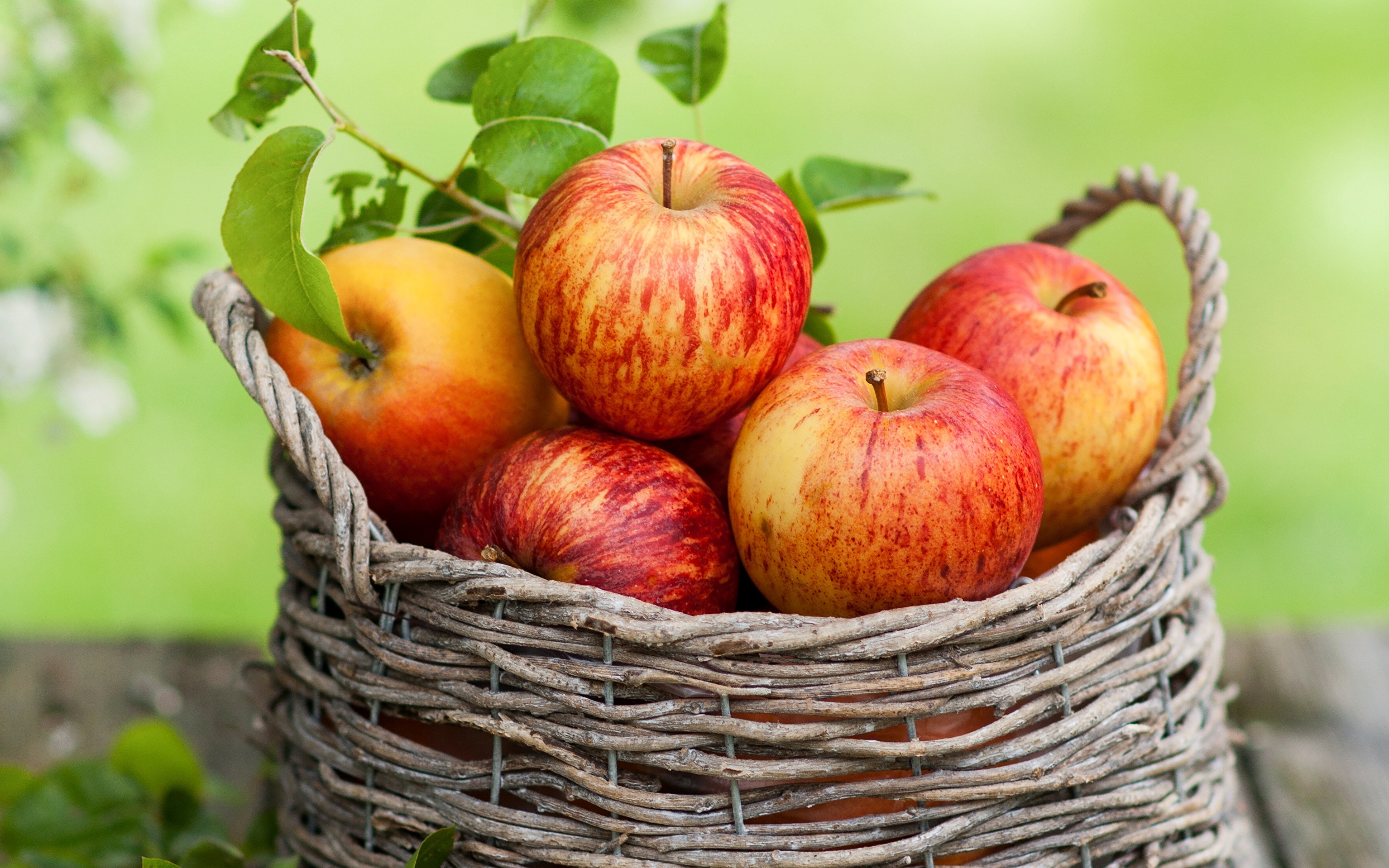 К чему снятся красивые яблоки. Осенние фрукты. Сочное яблоко. Осенние яблоки. Корзинка с яблоками.