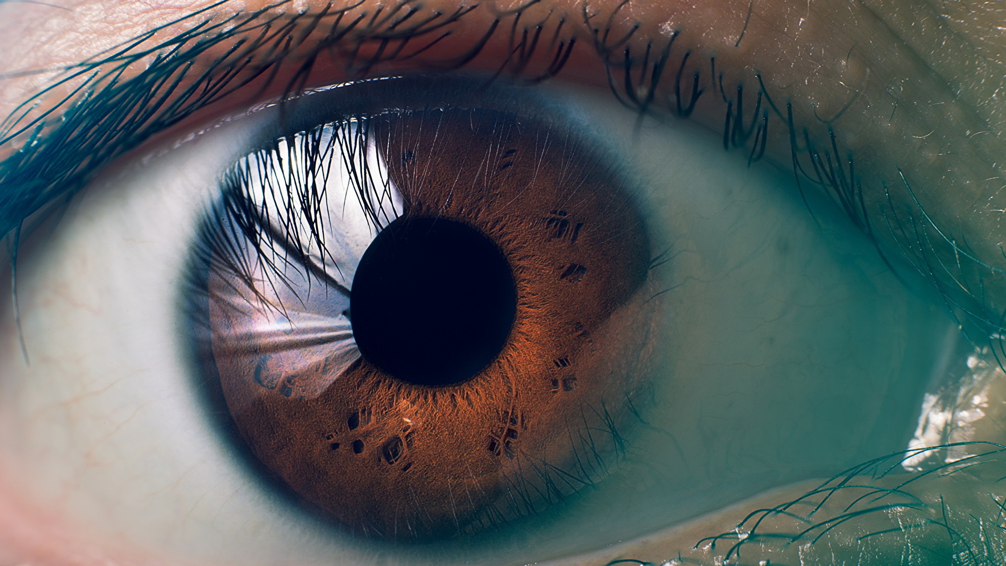 Обои глазки. Человеческий глаз. Макросъемка глаза. Красивые глаза. Глаз крупным планом.