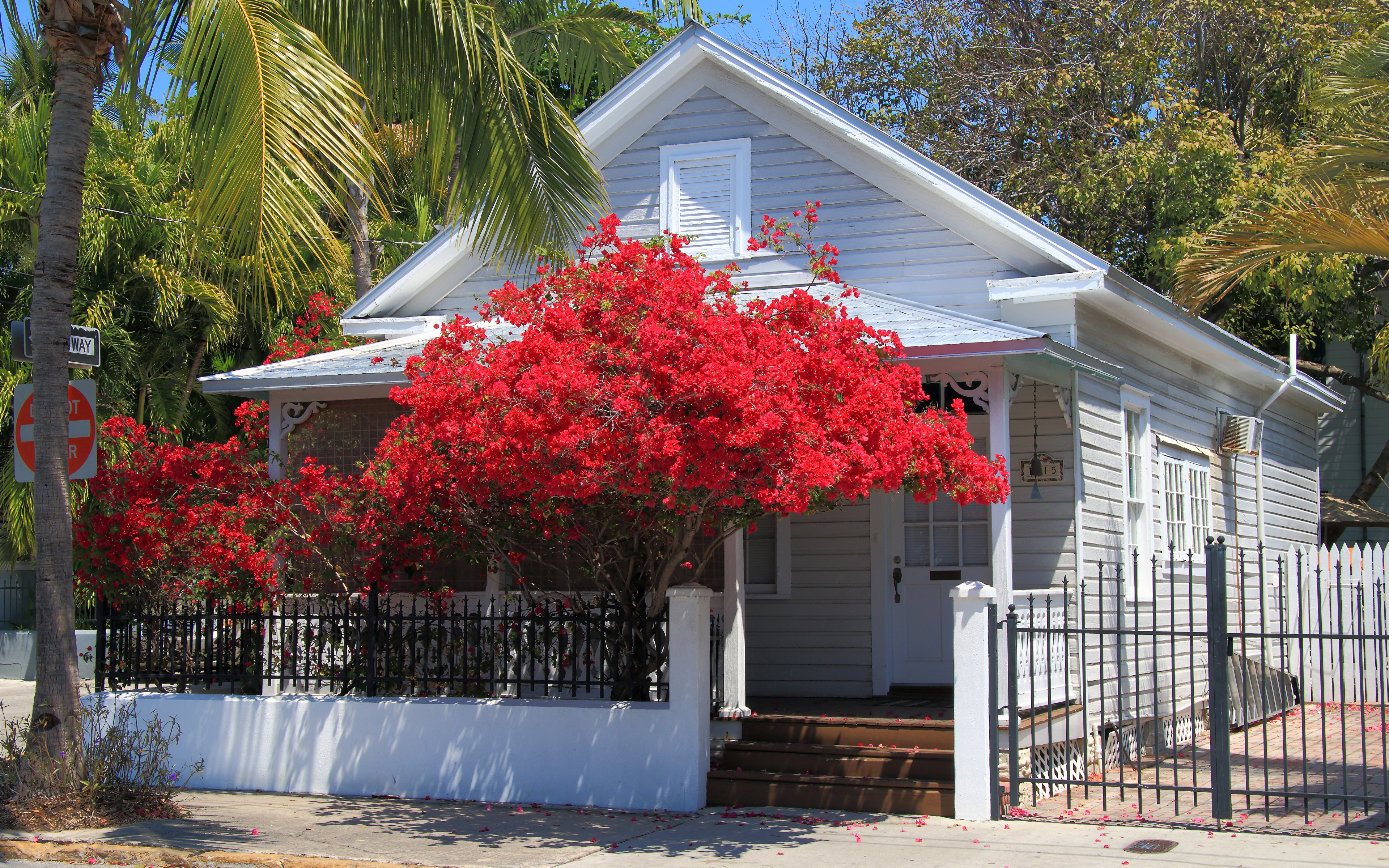 Фотография Флорида США Key West ограда город Здания 3840x2400