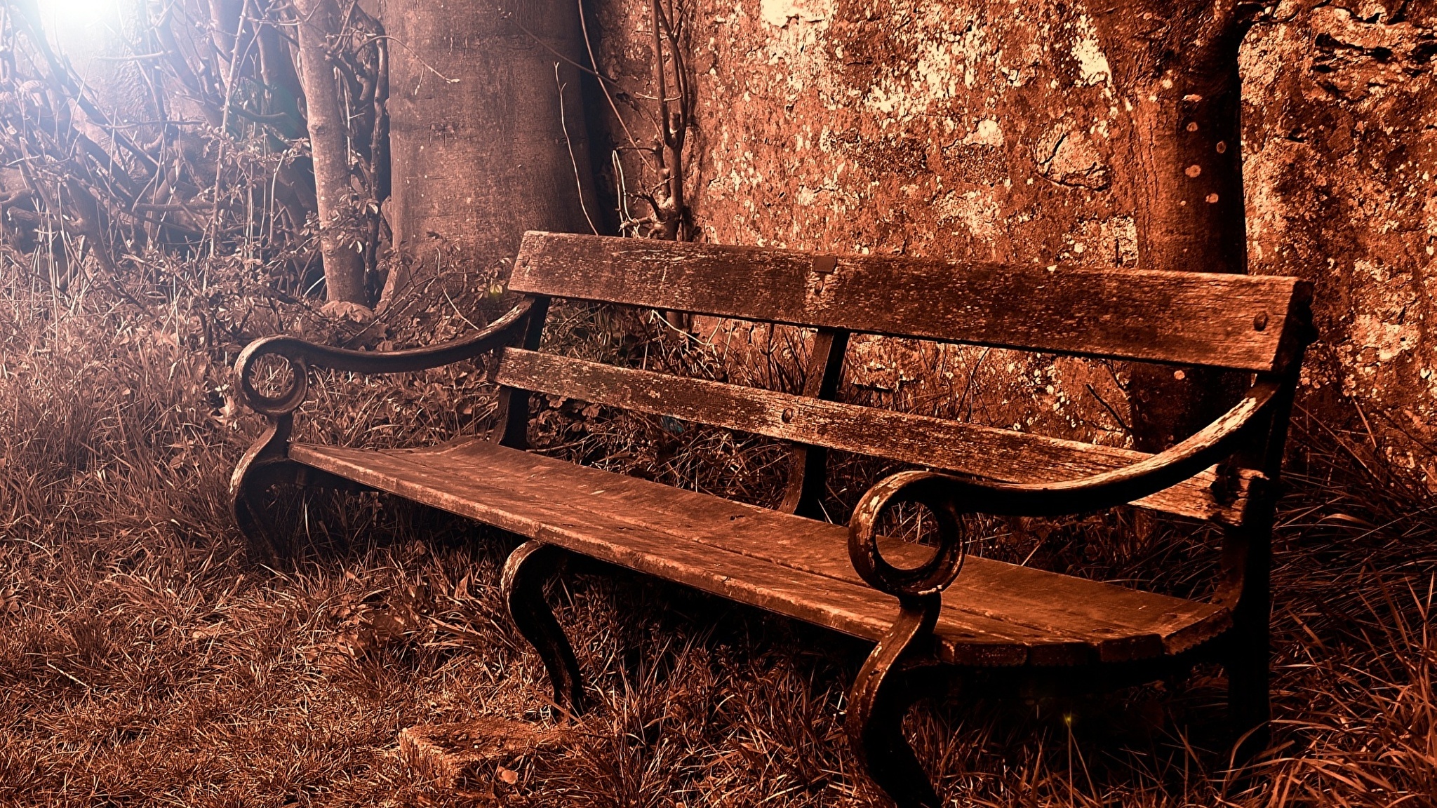 В парке старинном деревья. Скамейка Wood Bench. Старинная скамейка. Скамейка в лесу. Лавка в лесу.