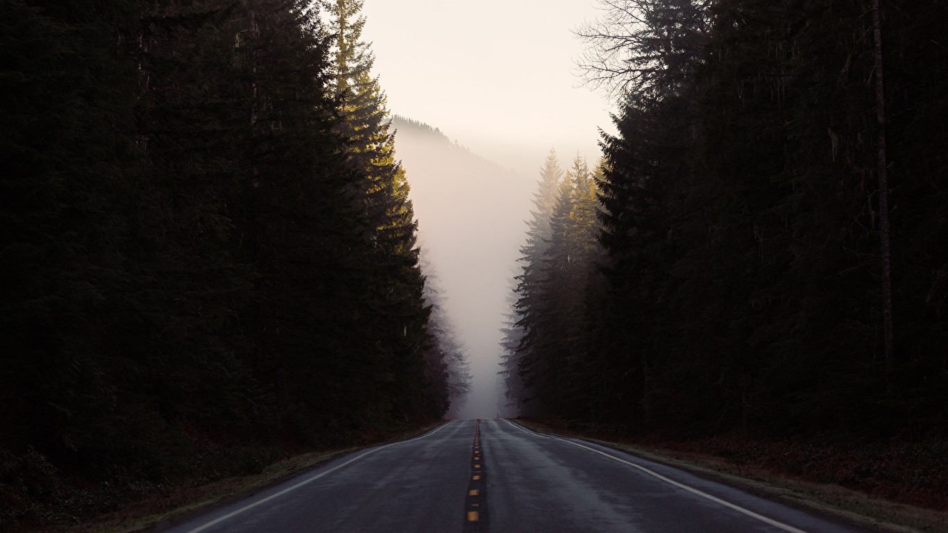 HD wallpaper: forest fog roads 1366x768 Nature Forests HD Art