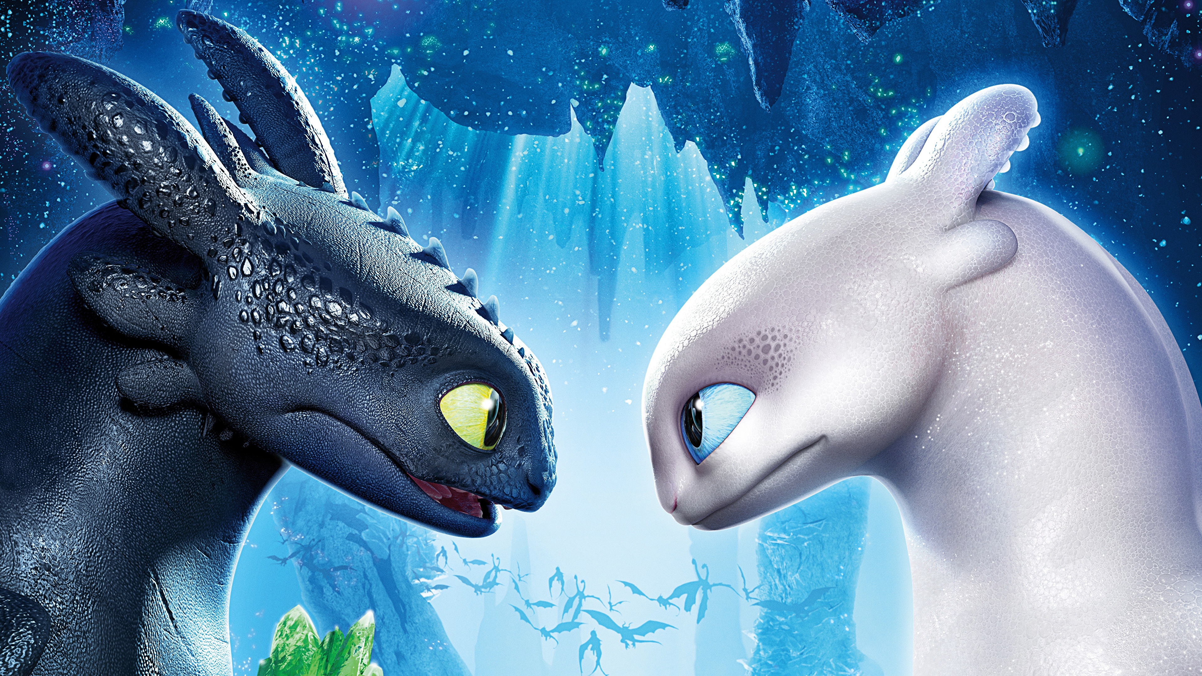 Photo How To Train Your Dragon Dragon 3 Two Cartoons Head