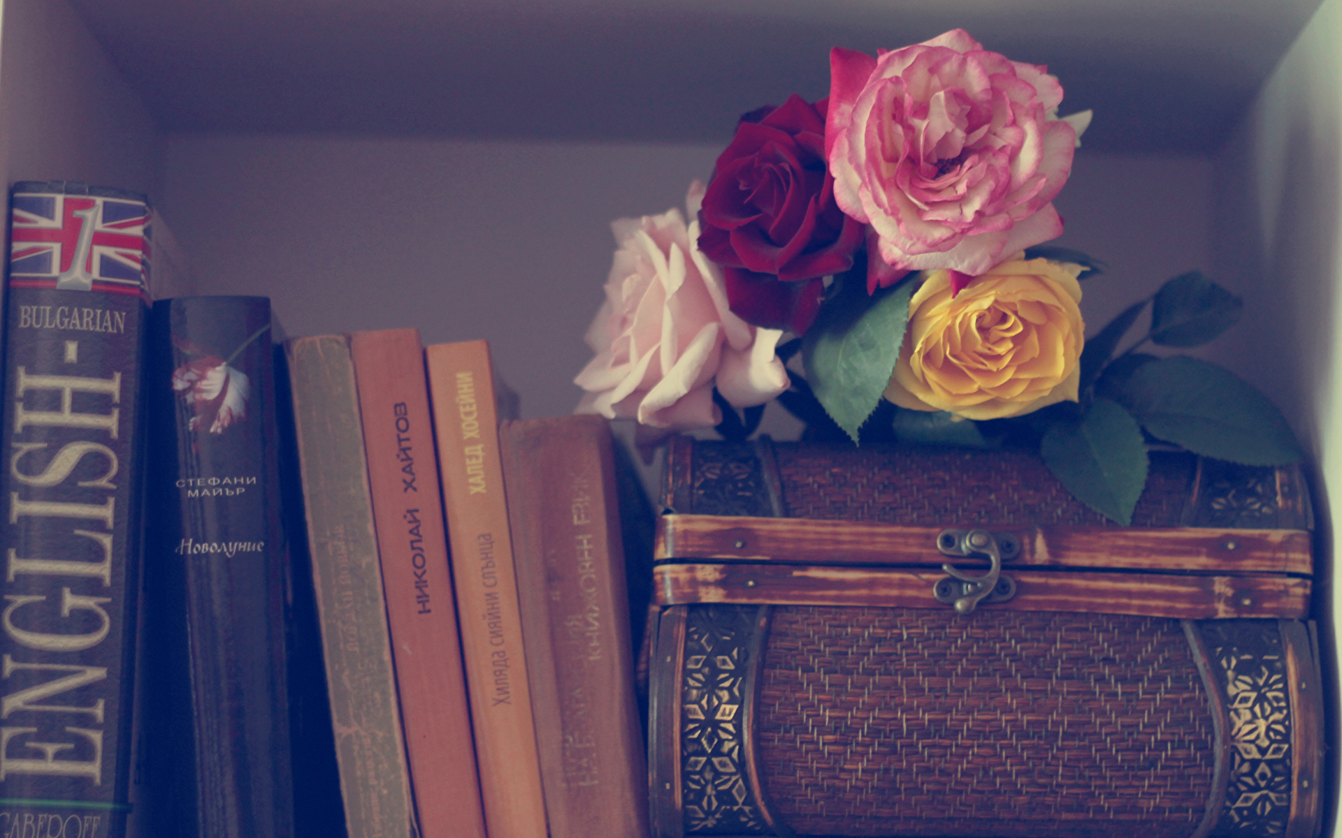 Фотография Розы цветок Книга 1920x1200 роза Цветы книги