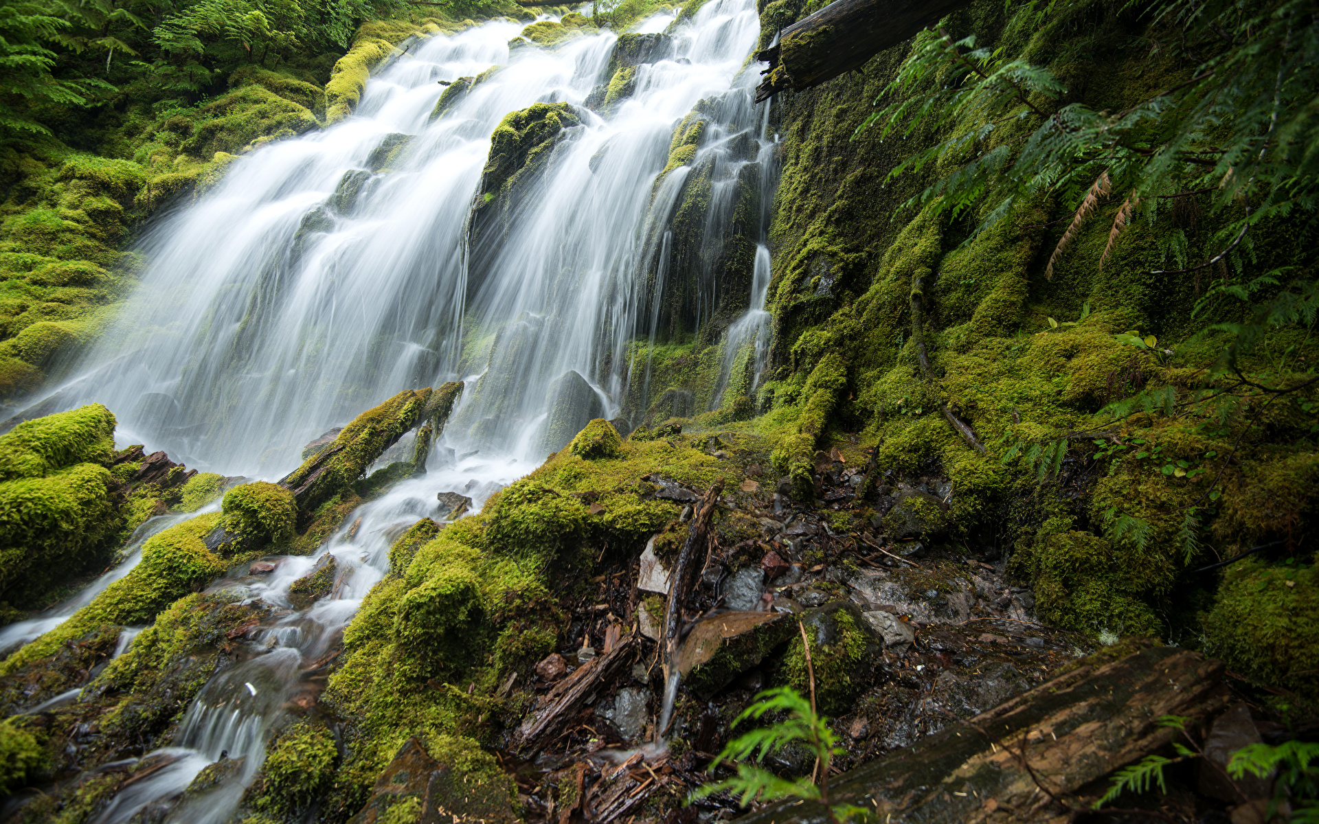 Photo USA Upper Proxy Falls Oregon Nature Waterfalls Moss 1920x1200