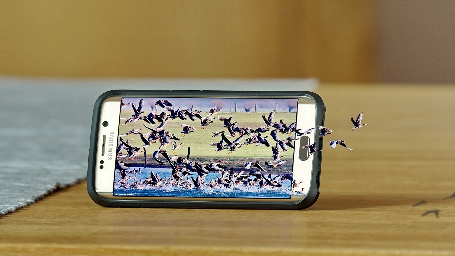 壁紙 19x1080 鳥類 ガチョウ クローズアップ クリエイティブ Samsung Galaxy S6 Edge 電話機 スマートフォン 飛翔 動物 ダウンロード 写真