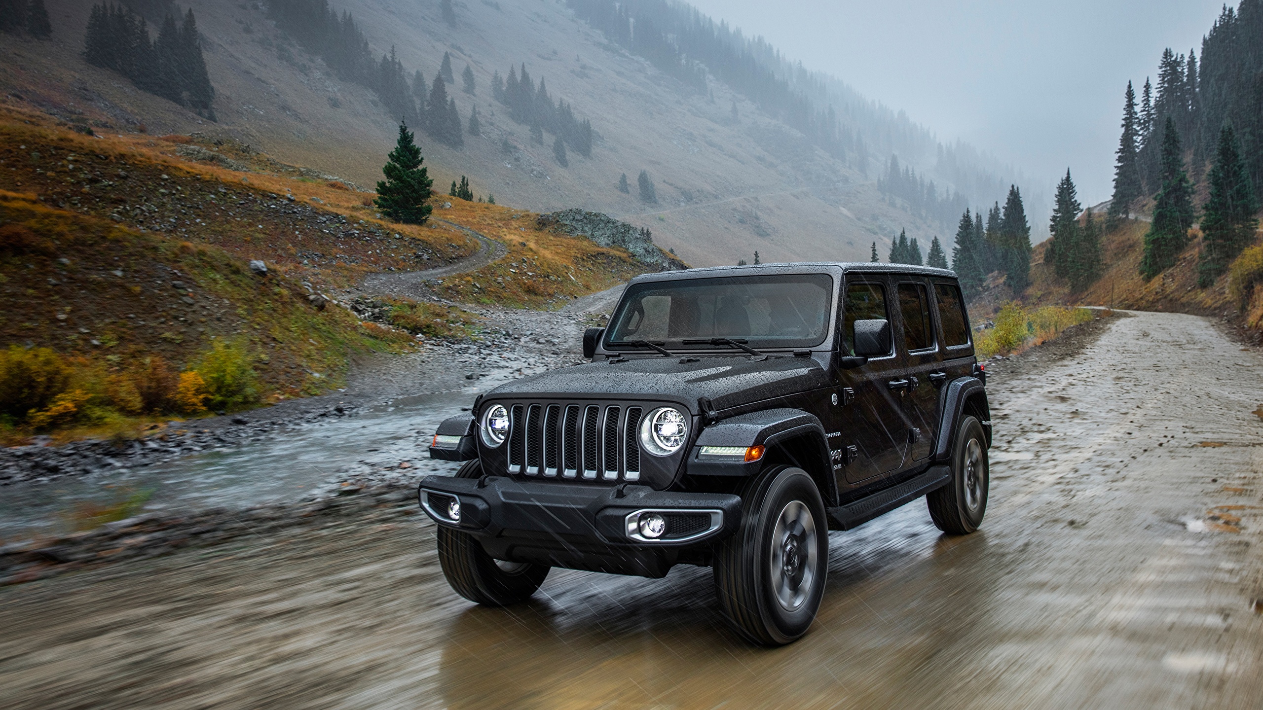What to Do If Your Jeep Gets Rained In