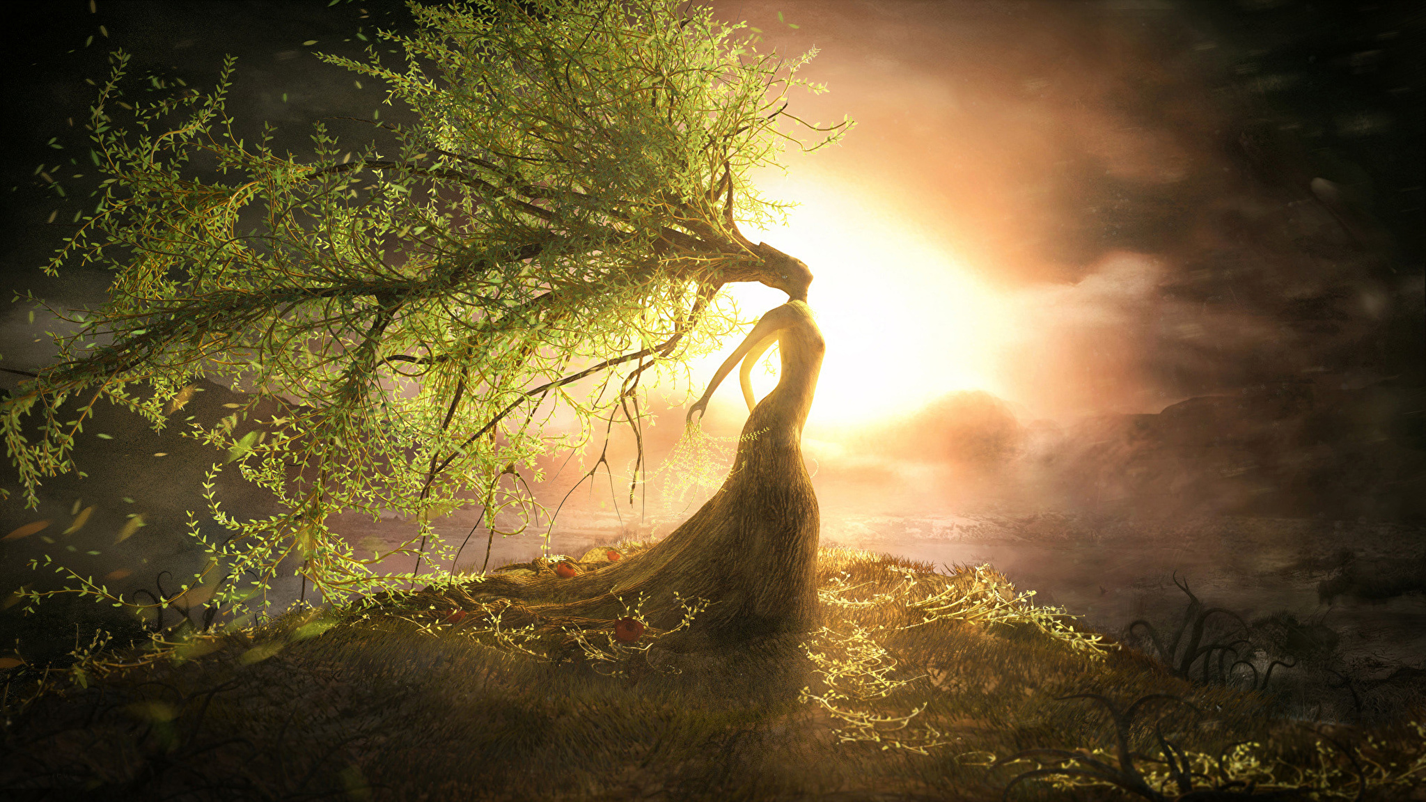Сток света. Дух природы. Магическое дерево. Фэнтези природа. Женщина дерево.