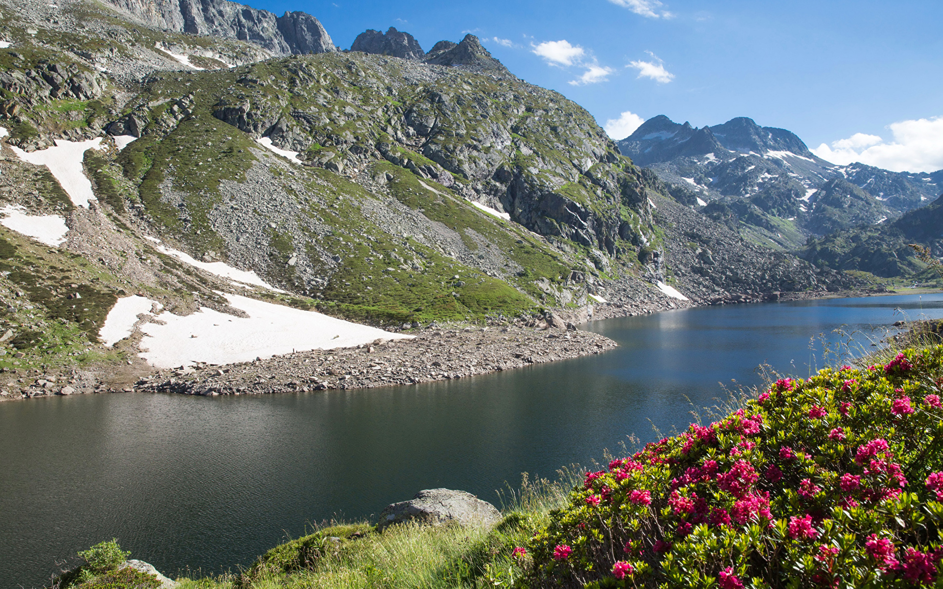 Papeis de parede 1920x1200 França Montanhas Rios Rododendro Ariege Midi ...