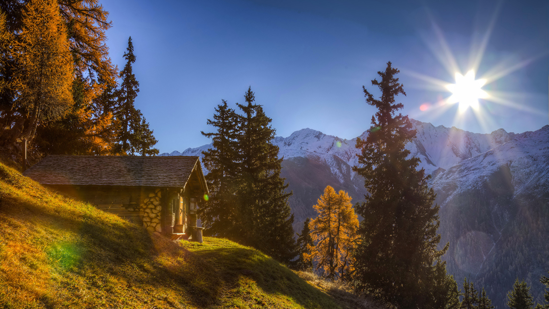 Fotos Alpen Schweiz Sonne Natur Herbst Gebirge Fichten 19x1080