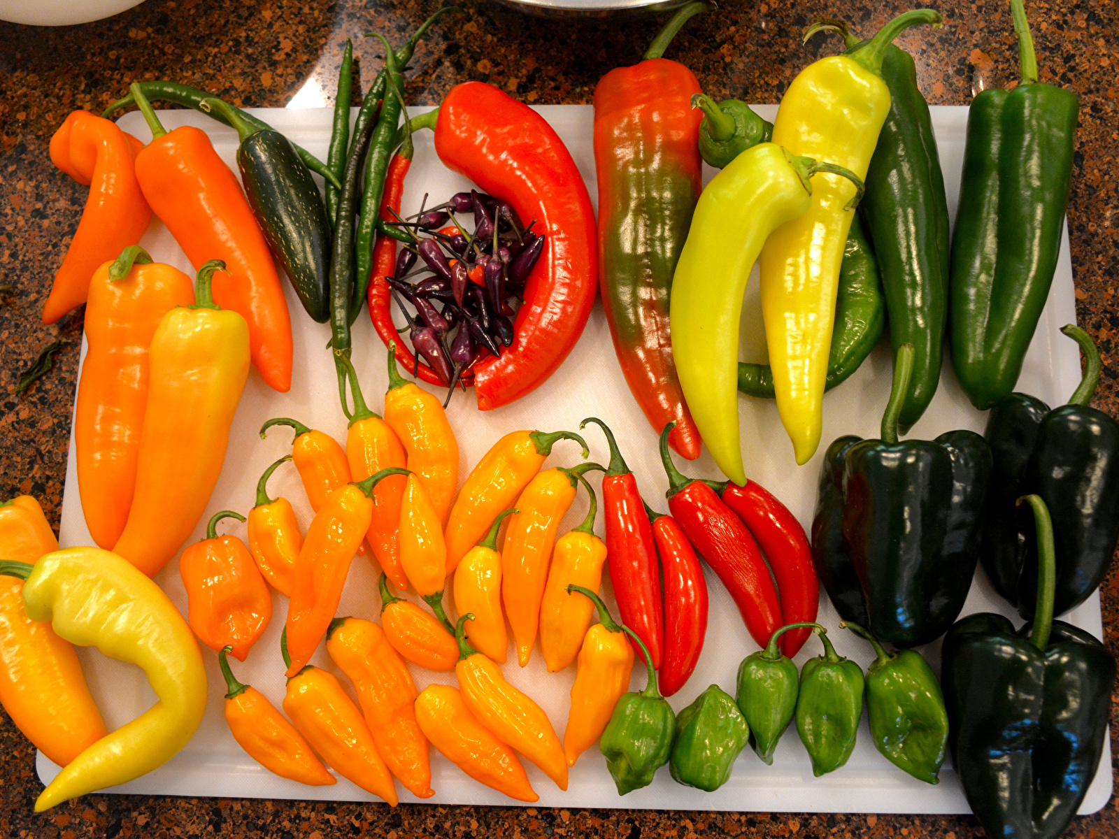 Wallpaper Multicolor Food Vegetables Bell pepper 1600x1200