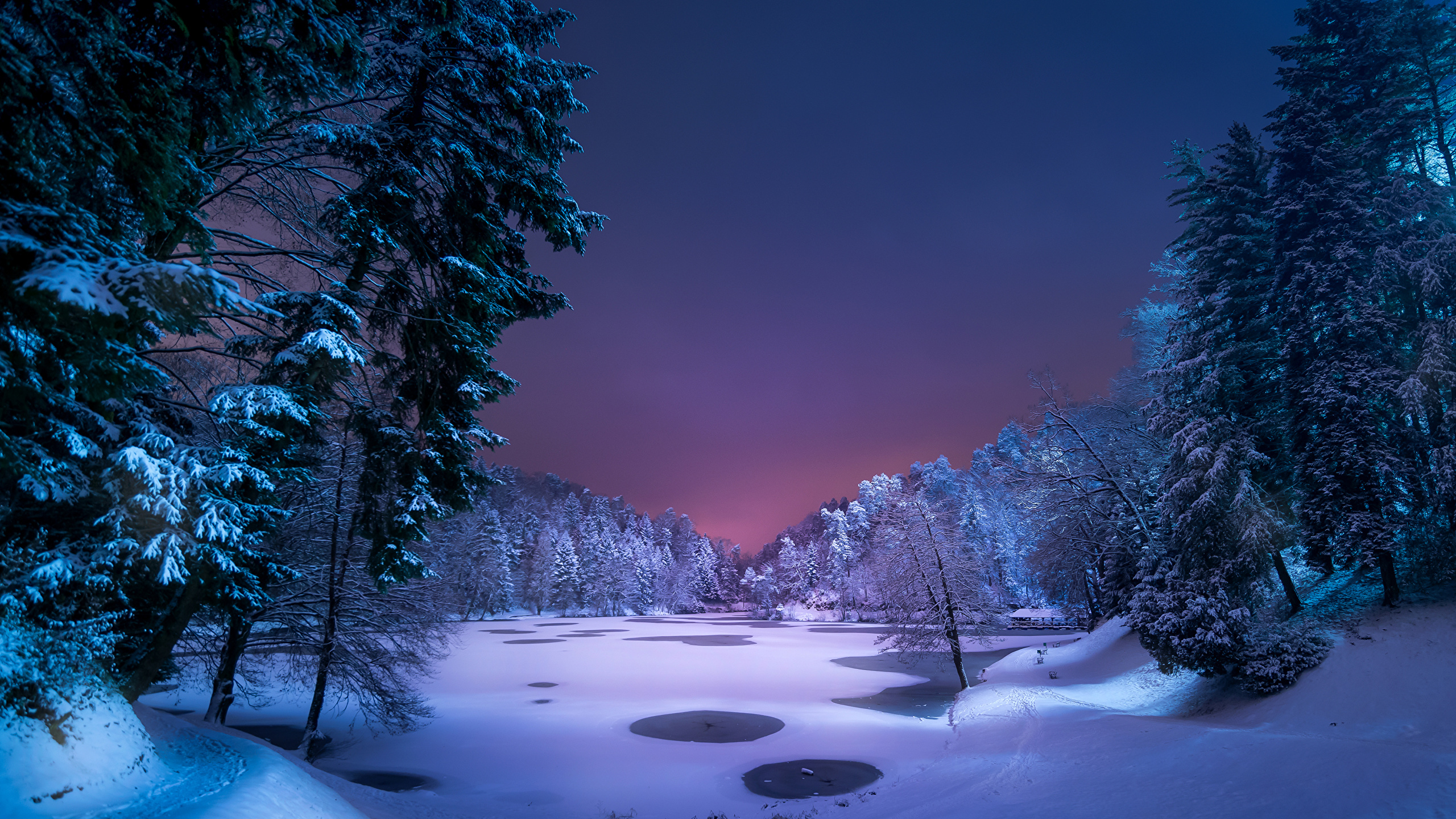 Winter zoom backgrounds free - herolio