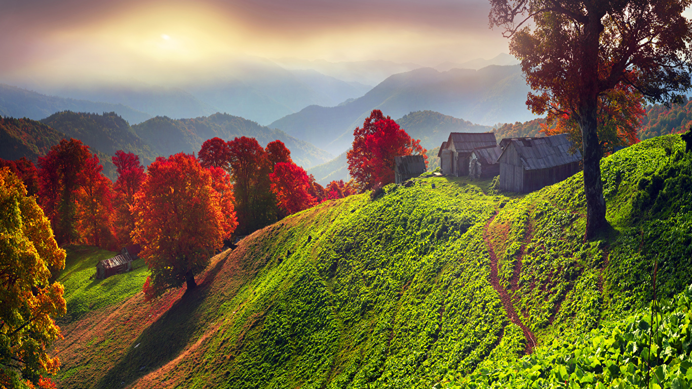 壁紙 1366x768 ウクライナ 住宅 秋 風景写真 ザカルパッチャ州 丘 木 自然 ダウンロード 写真