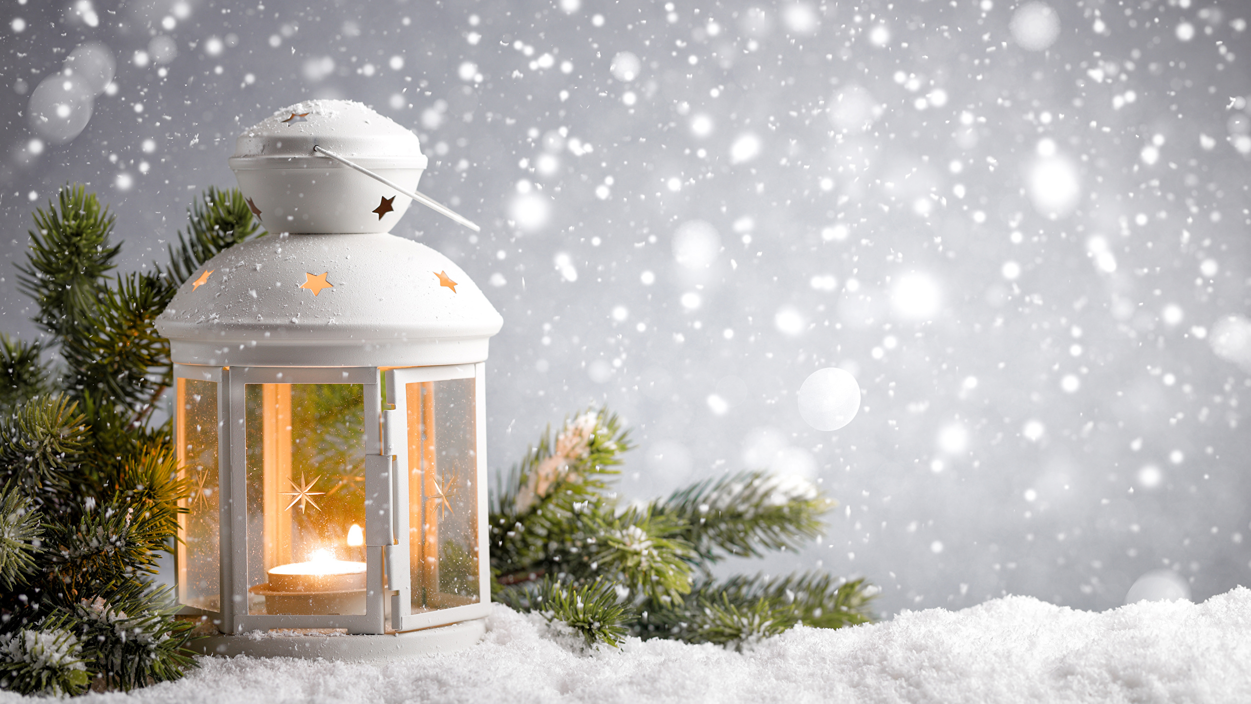 Desktop Hintergrundbilder Laterne Natur Winter Schnee Ast 2560x1440