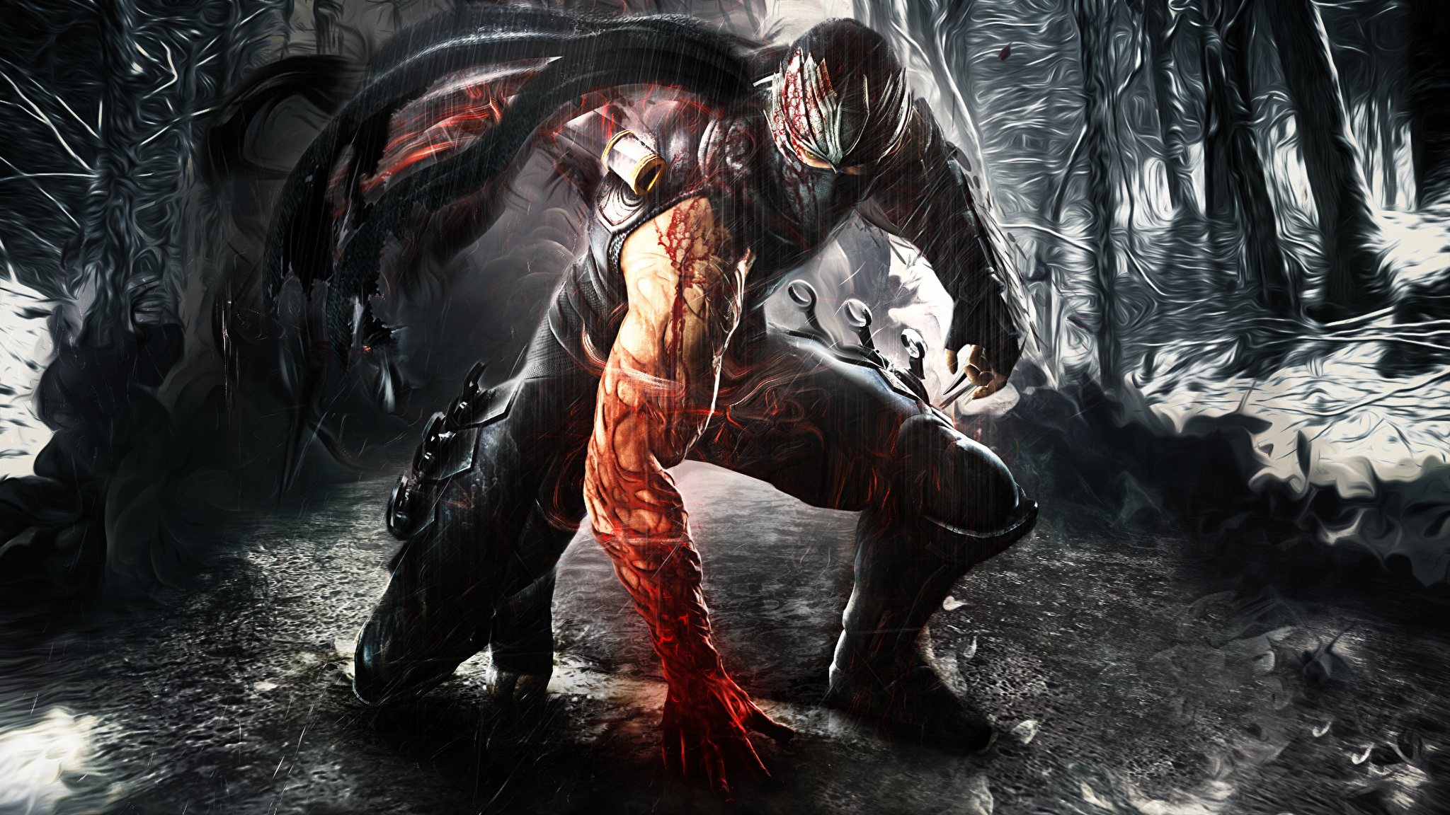 Обои игры. Ninja Gaiden 3 Wallpaper. Арты из игр. Крутые персонажи из игр.