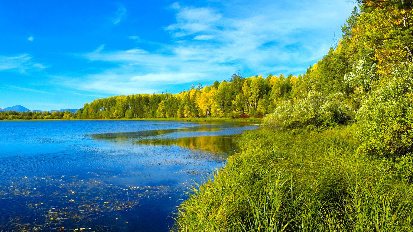 壁紙 1366x768 風景写真 湖 夏 森林 草 自然 ダウンロード 写真