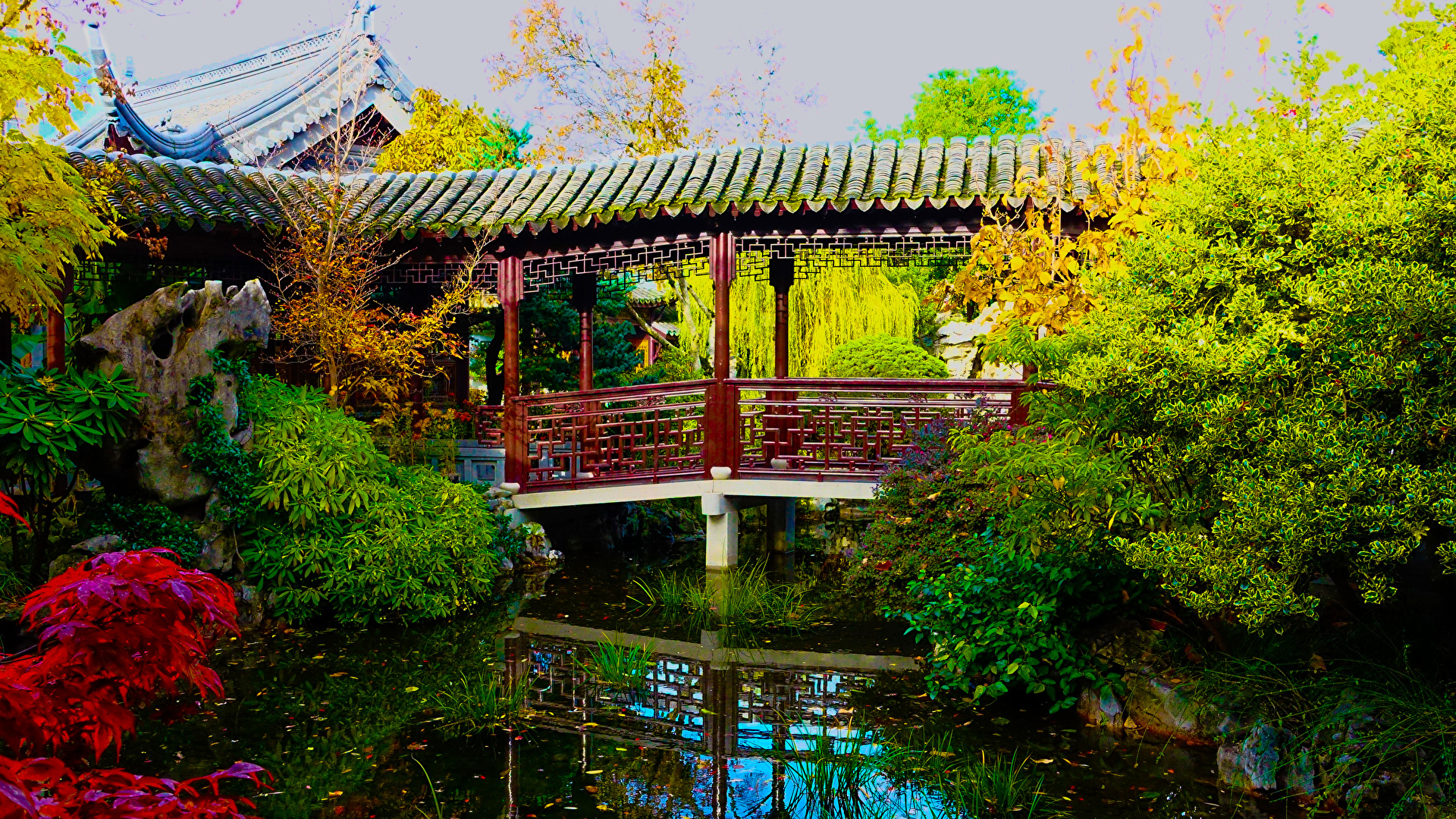 Fotos Von Usa Chinese Garden Portland Oregon Natur Brucken 1920x1080