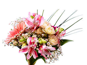 Photo Bouquets Roses Alstroemeria White background Flowers