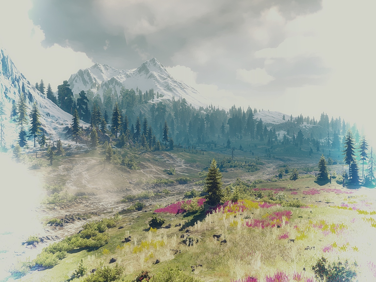 Wallpaper The Witcher 3: Wild Hunt Nature mountain Forests 1600x1200