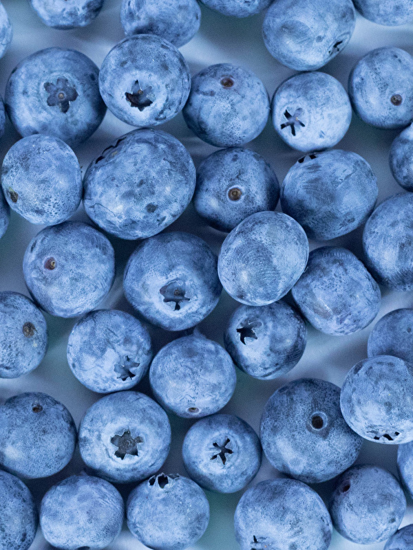 Blueberry, fruit close-up 1080x1920 iPhone 8/7/6/6S Plus wallpaper,  background, picture, image