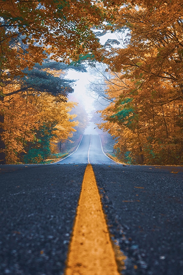 Desktop Hintergrundbilder Natur Herbst Strasse Strips Asphalt 640x960