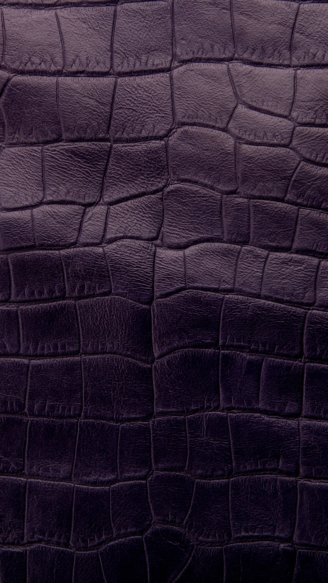 Desktop Wallpapers Leather Crocodiles Texture skin 1080x1920