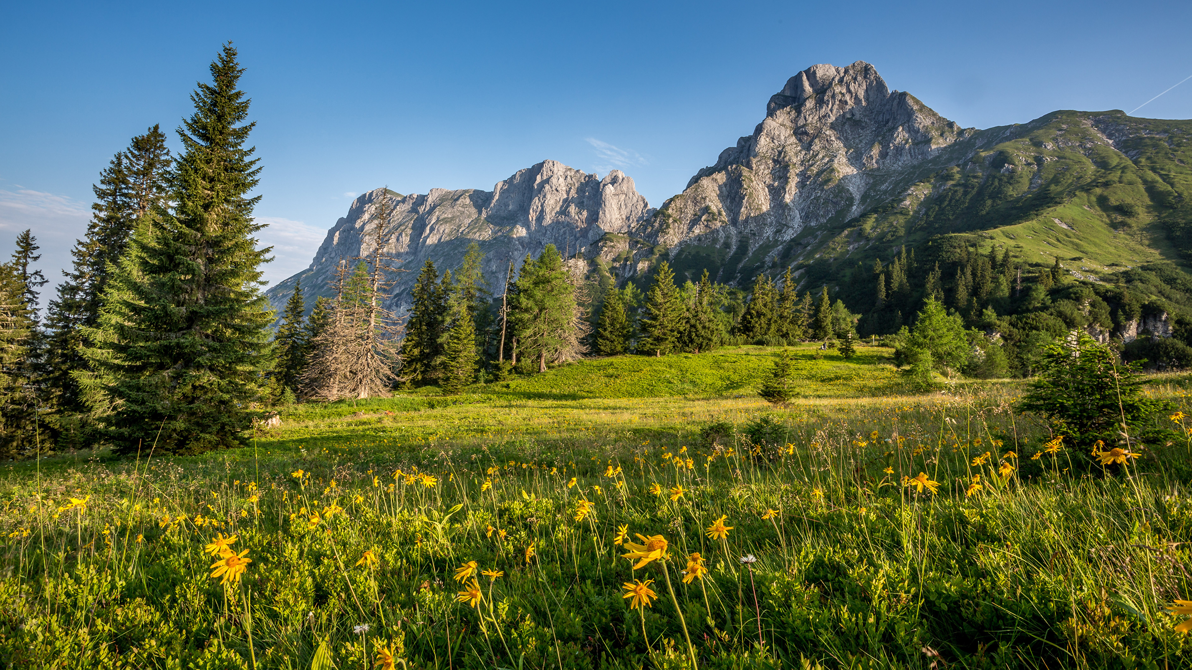 Fonds d'ecran 3840x2160 Autriche Montagnes Prairies Photographie de