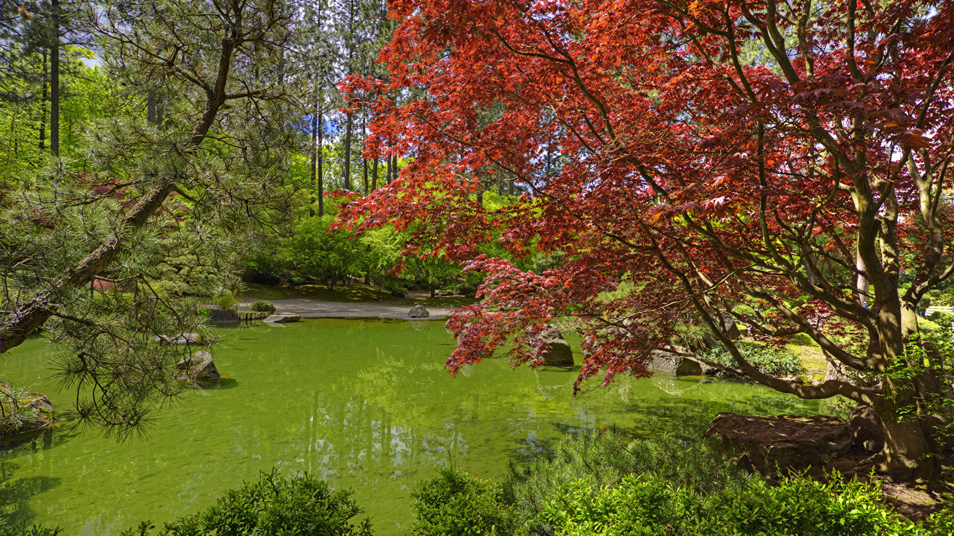 Foto Washington Usa Spokane Japanese Garden Natur Teich 1920x1080