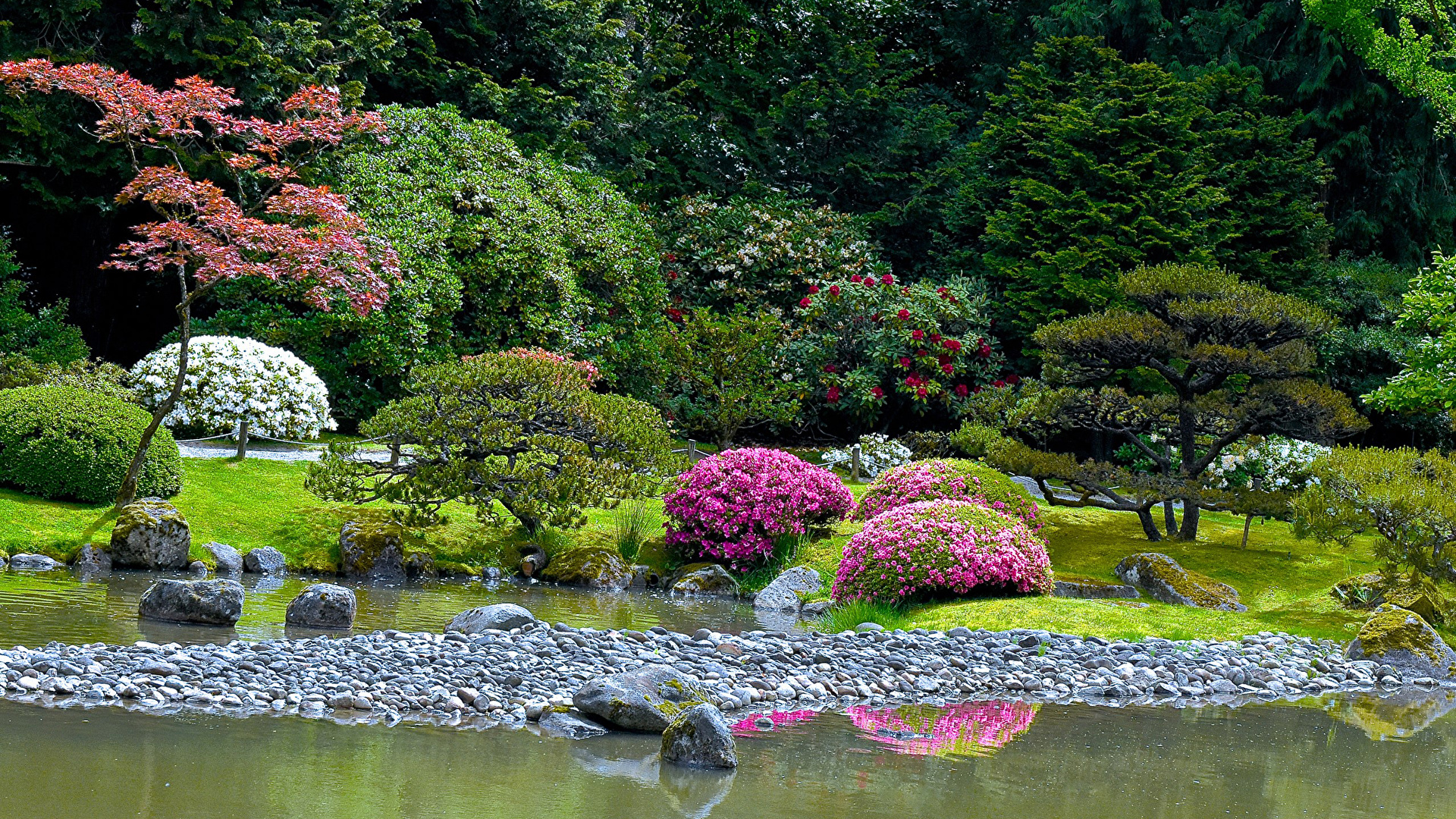 Photos Usa Seattle Japanese Garden Nature Pond Park Stone 1920x1080