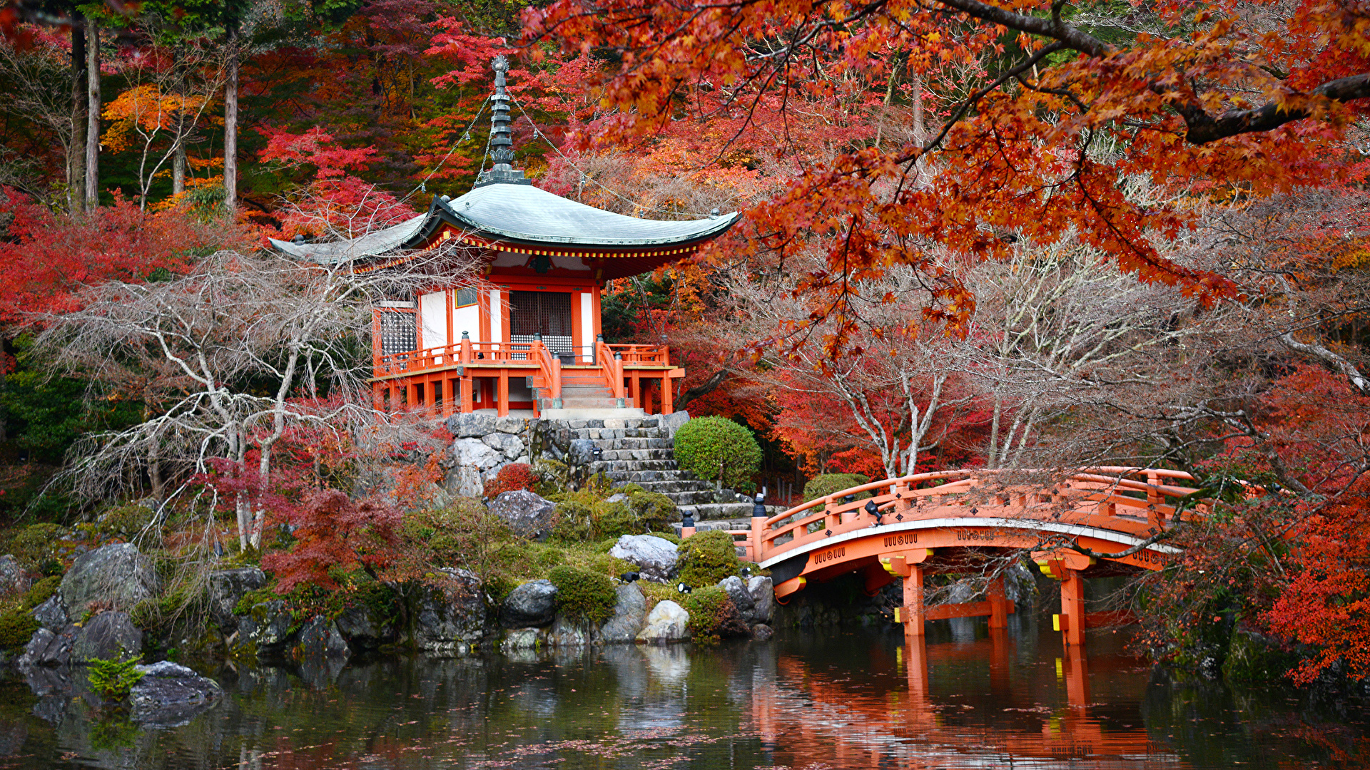 壁紙 19x1080 日本 京都市 庭園 池塘 秋季 小雁塔 橋 大自然 下载 照片