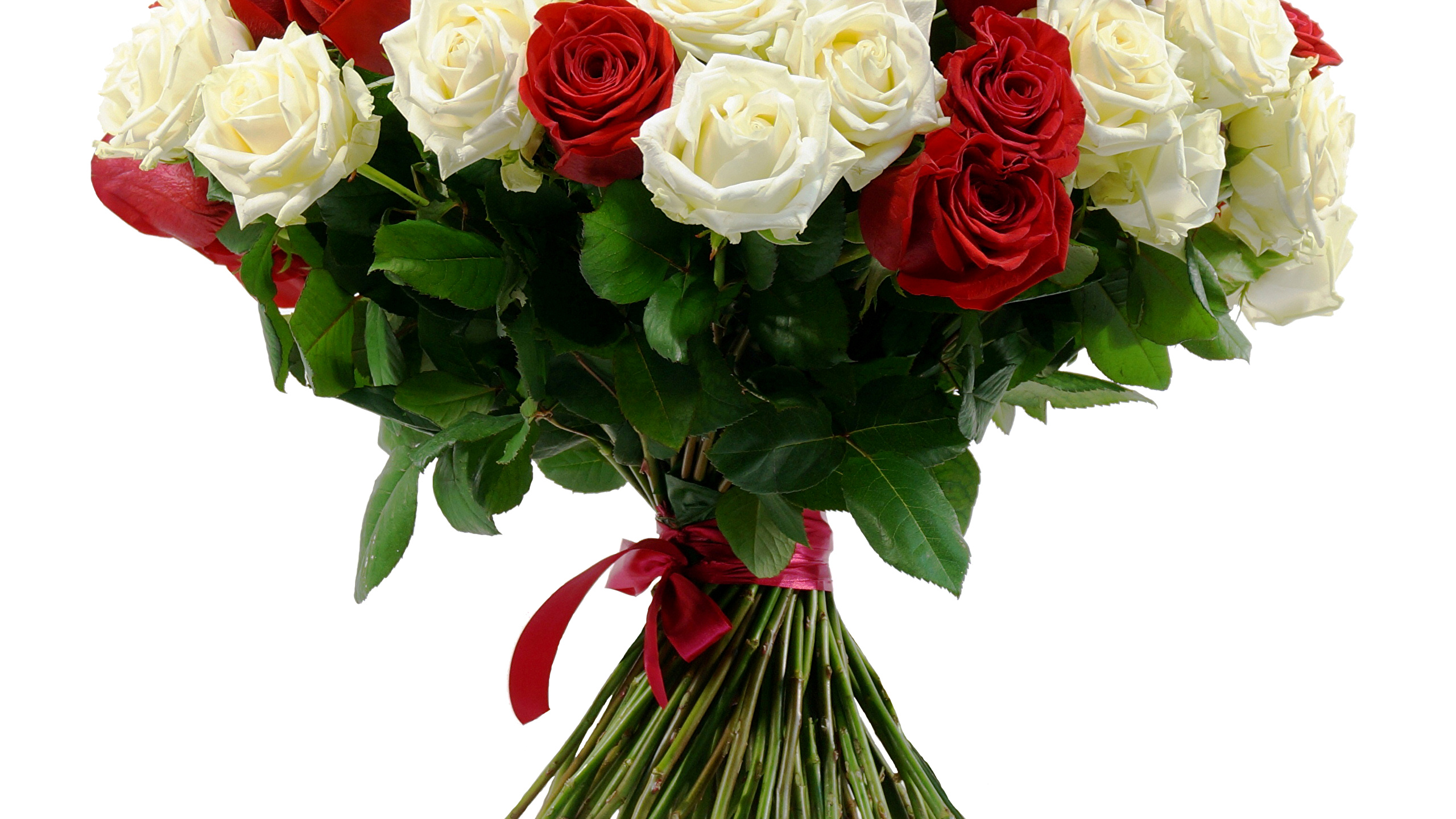 Фото Букеты Розы Цветы Белый фон 2560x1440