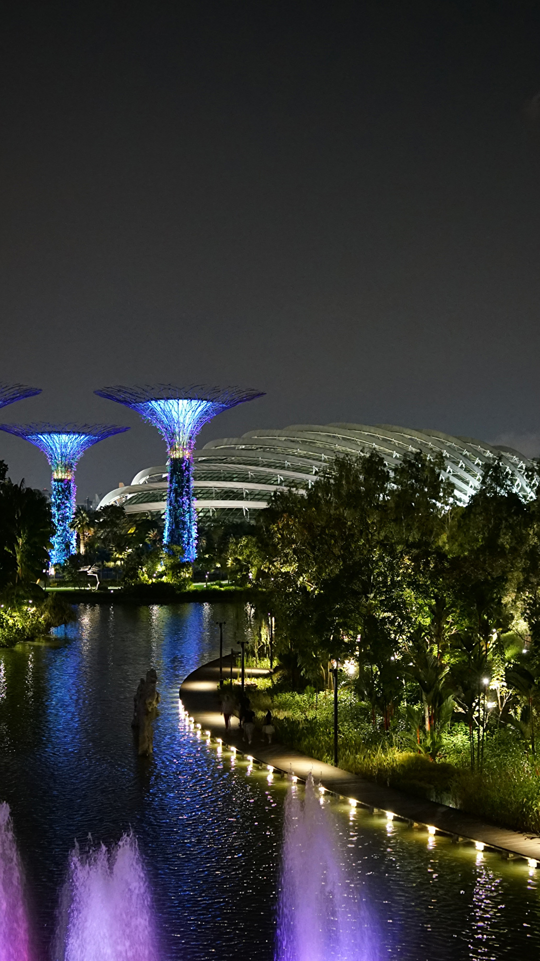 Photo Singapore Gardens by the Bay Nature night time Trees 1080x1920