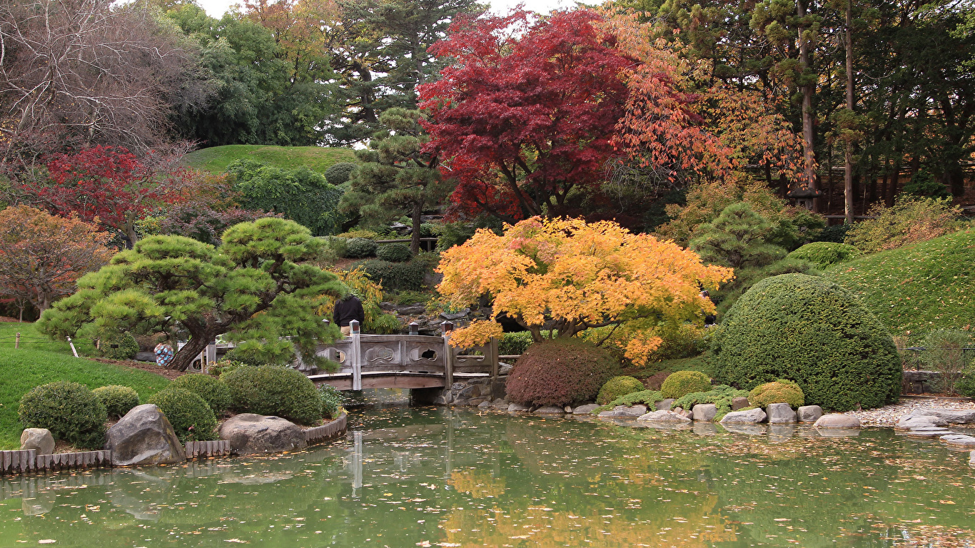 Images USA Brooklyn Botanic Garden Autumn Nature Pond Parks 1366x768