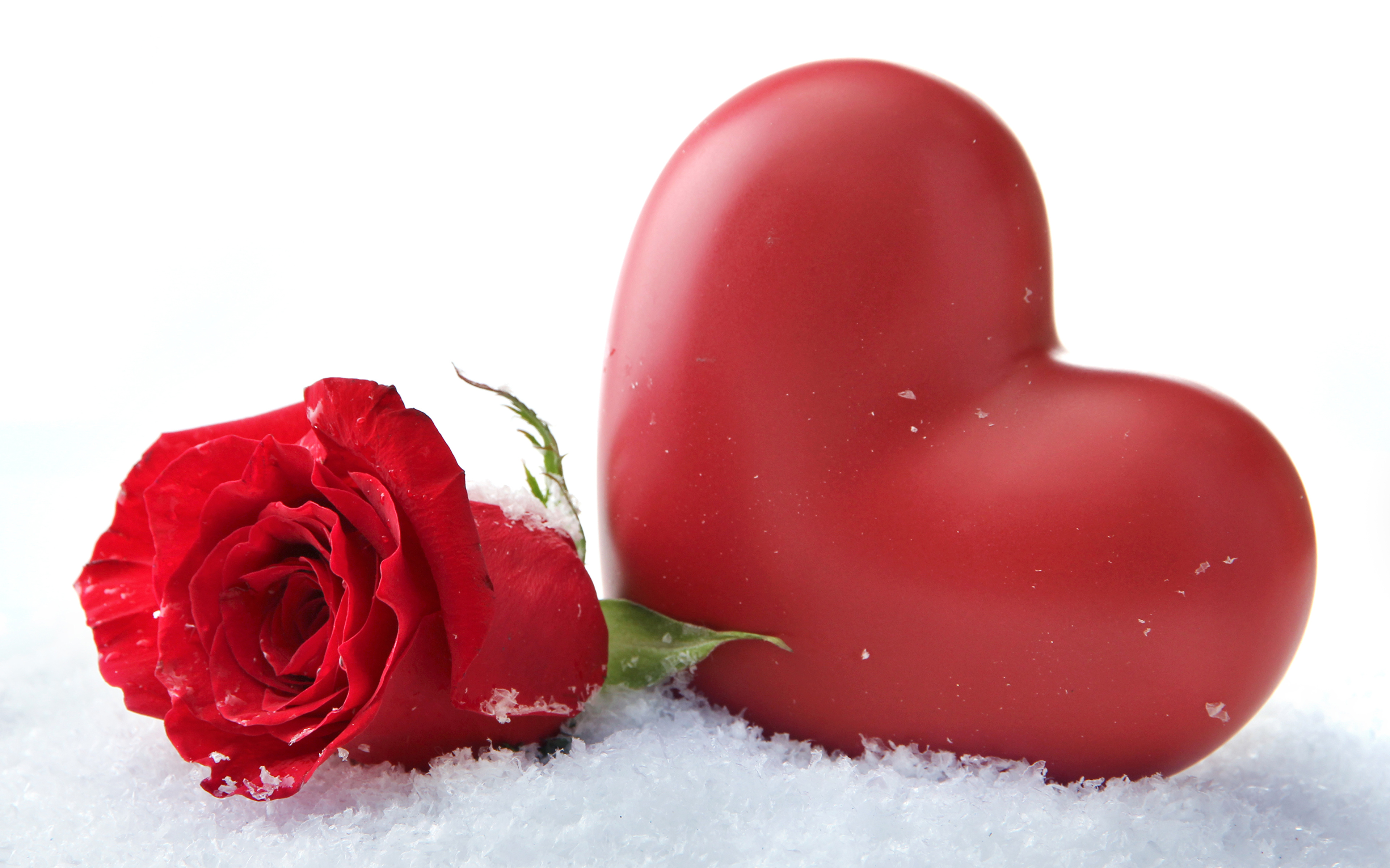 Photo Valentine's Day Heart Red Roses Snow Flowers 3840x2400
