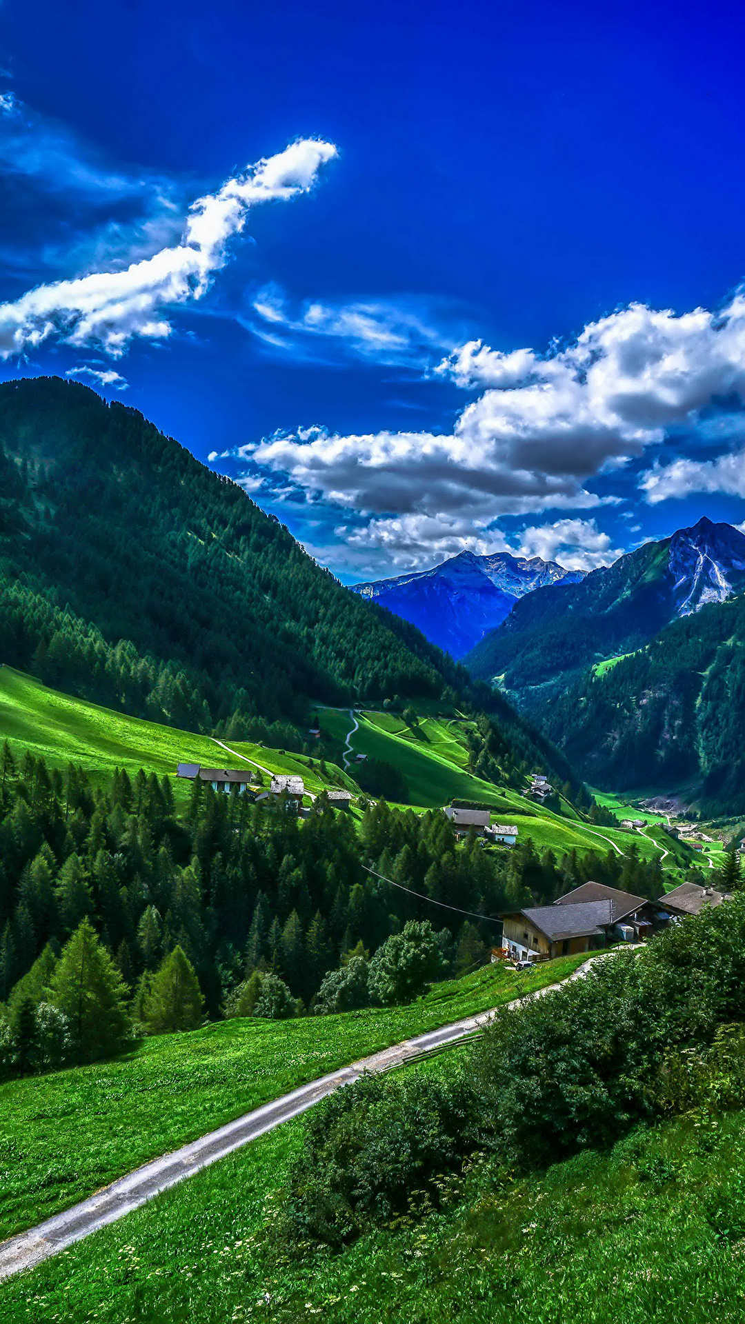 壁紙 1080x19 イタリア 山 森林 空 風景写真 Bolzano 草 雲 自然 ダウンロード 写真