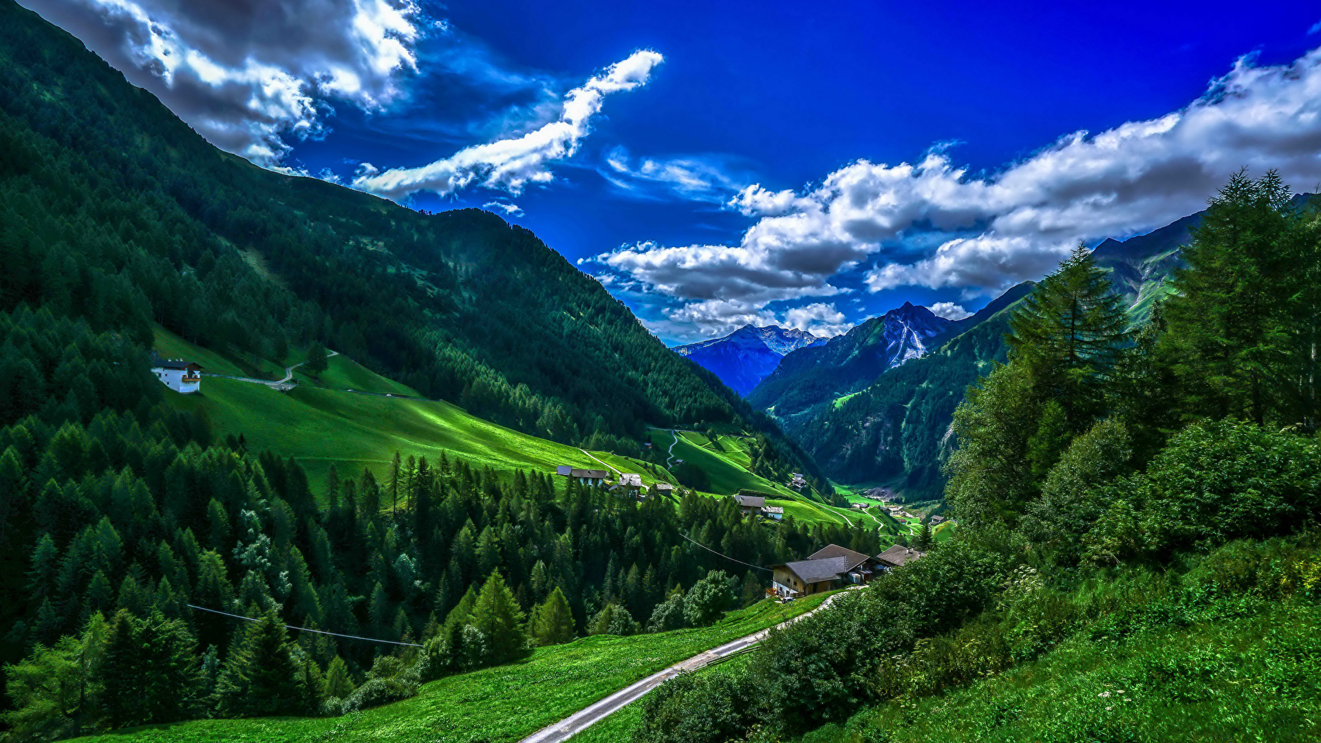 壁紙 19x1080 イタリア 山 森林 空 風景写真 Bolzano 草 雲 自然 ダウンロード 写真