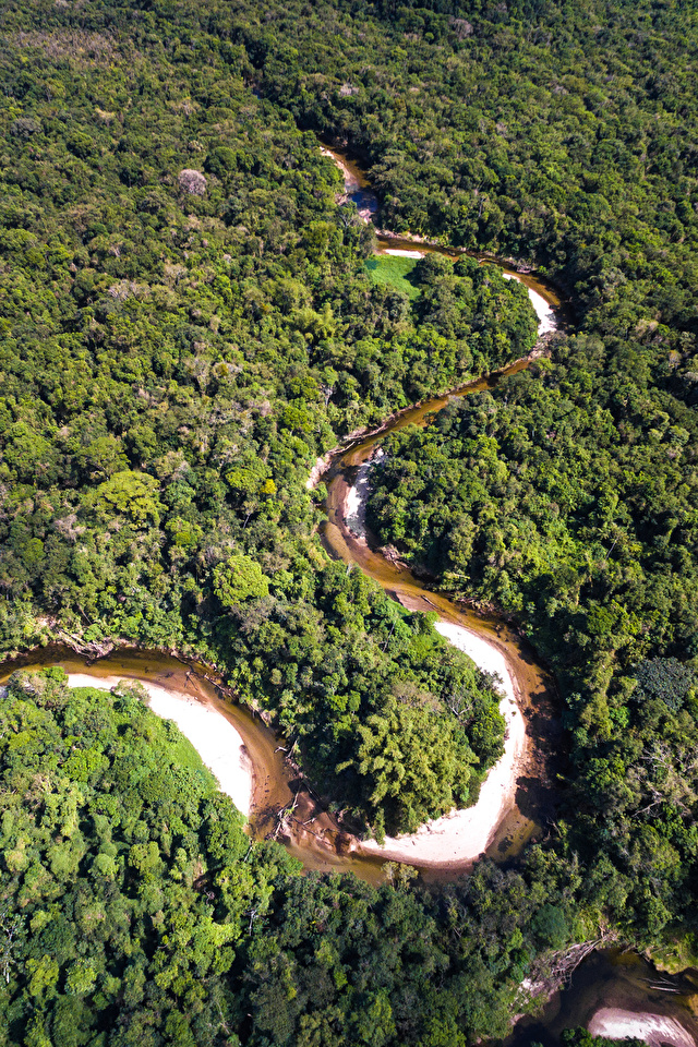 Image Brazil Amazon Jungle Nature Forests River From Above 640x960