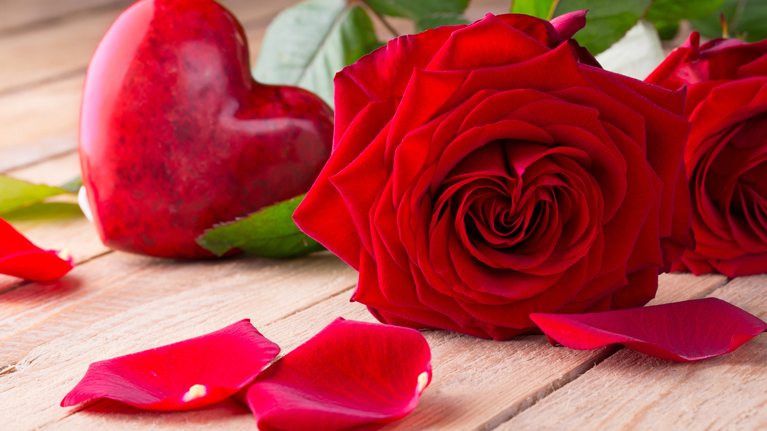 Photo Valentine's Day Heart Red Roses Petals flower 2560x1440