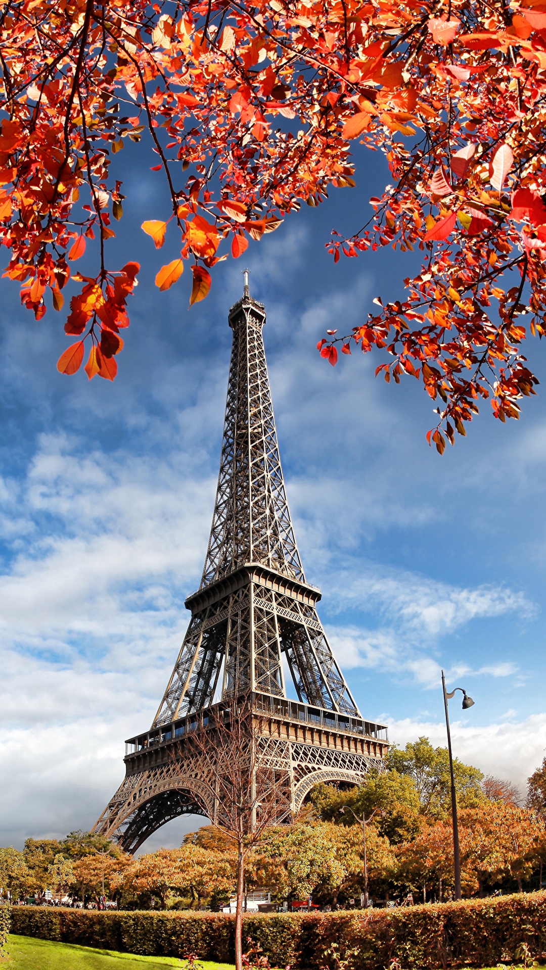 Fondos de Pantalla 1080x1920 Francia Otoño París Torre Eiffel Ciudades  descargar imagenes