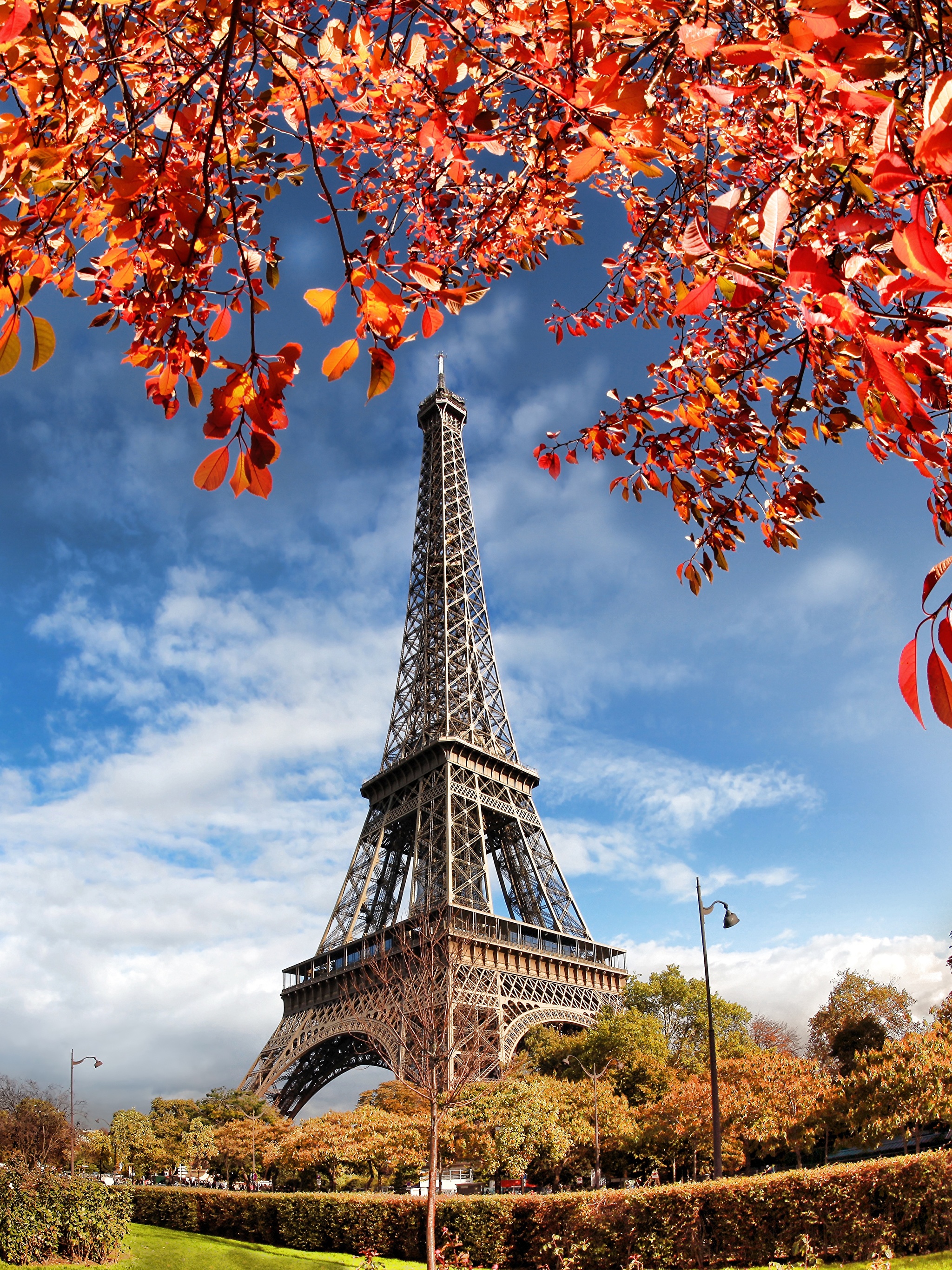 осень в париже