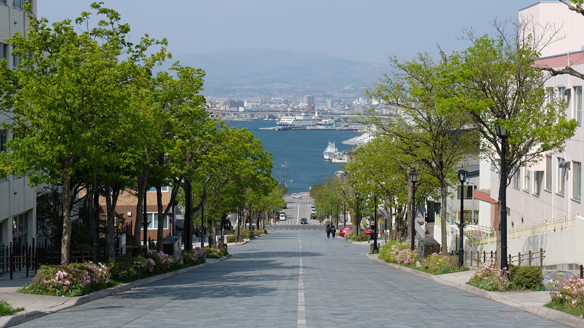 壁紙 19x1080 日本 住宅 道 Hakodate ストリート 木 都市 ダウンロード 写真